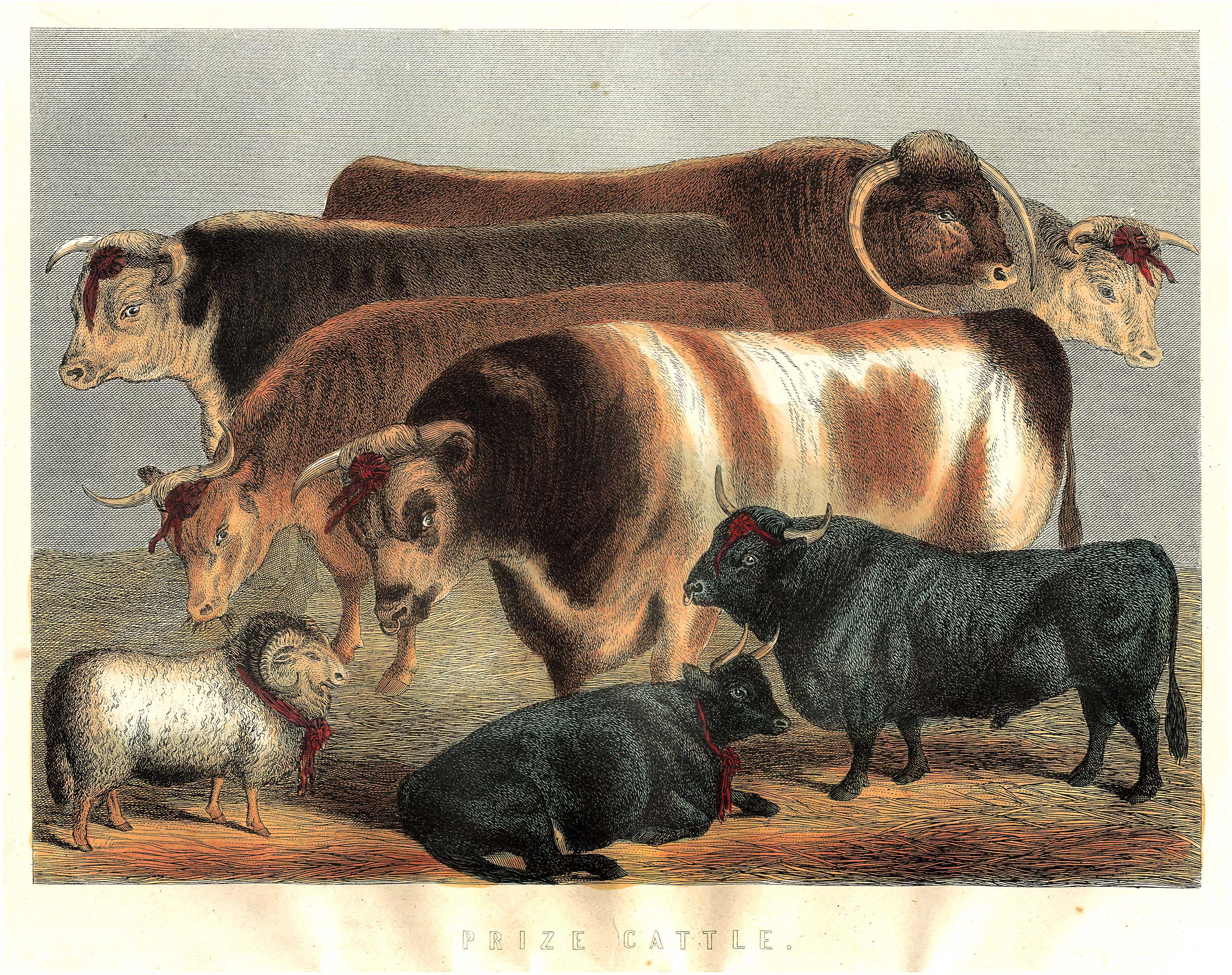 Lot 08177