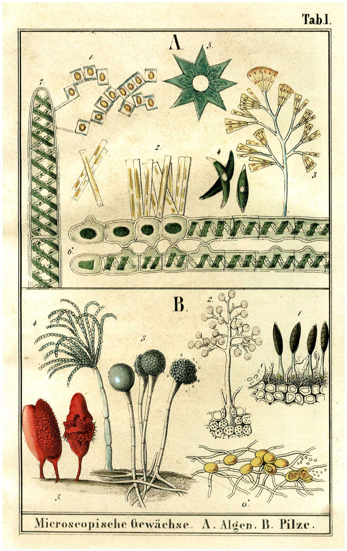 Lot 08168