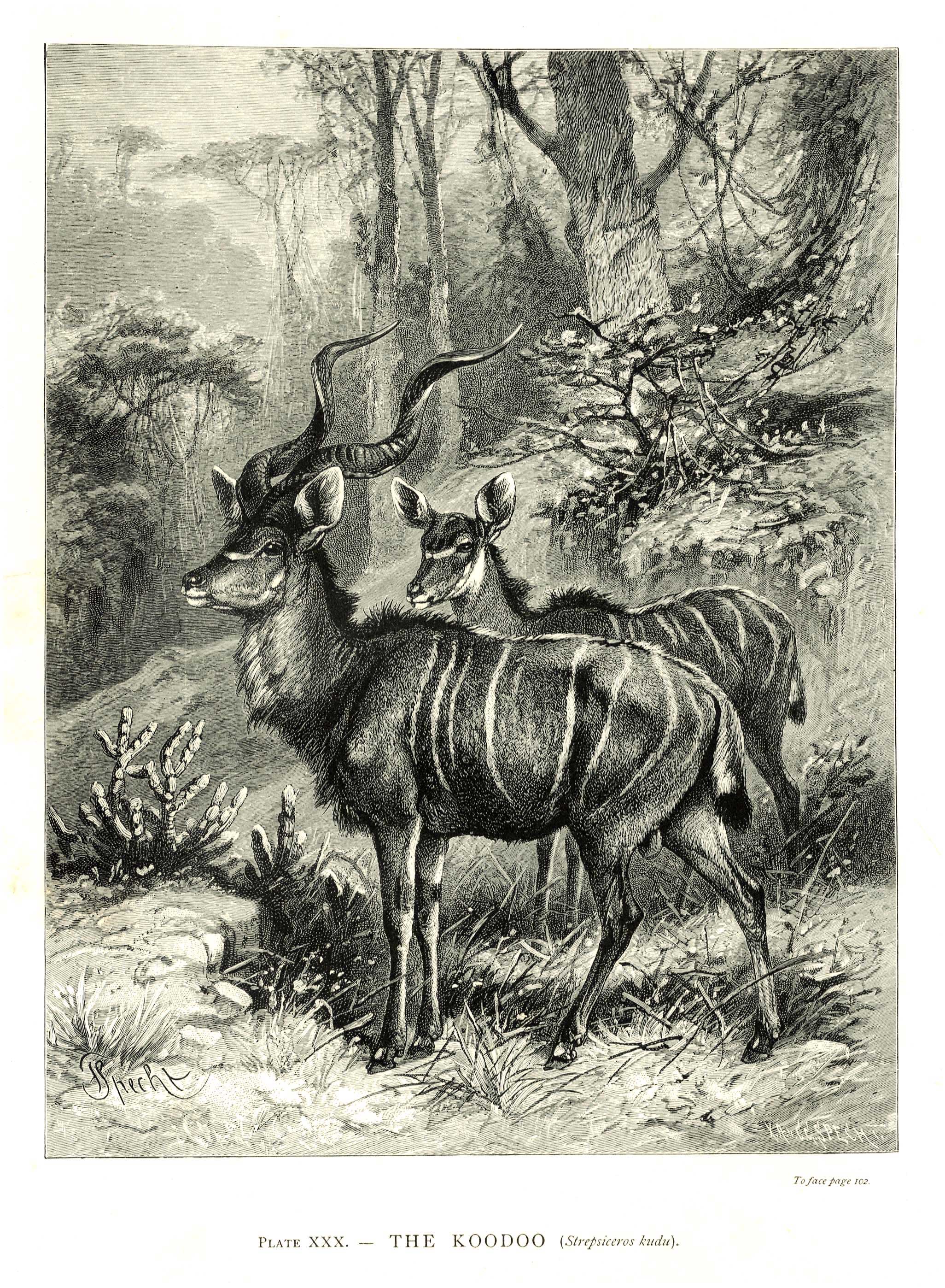 Lot 08184