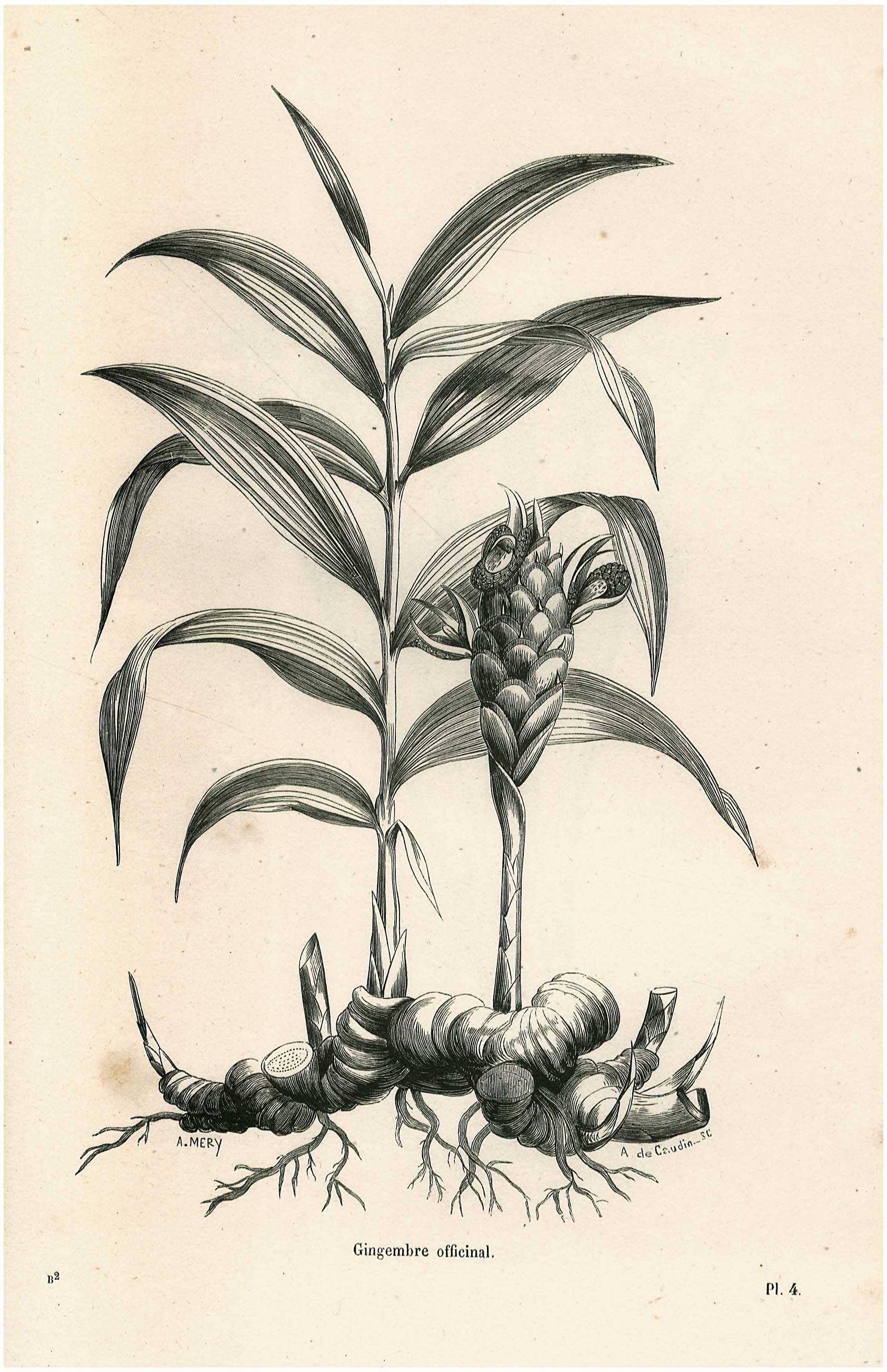 Lot 08301