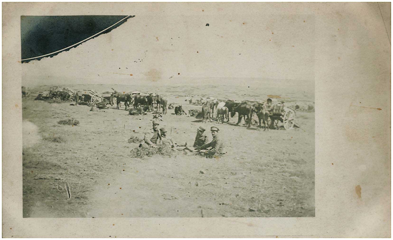 Lot 08775
