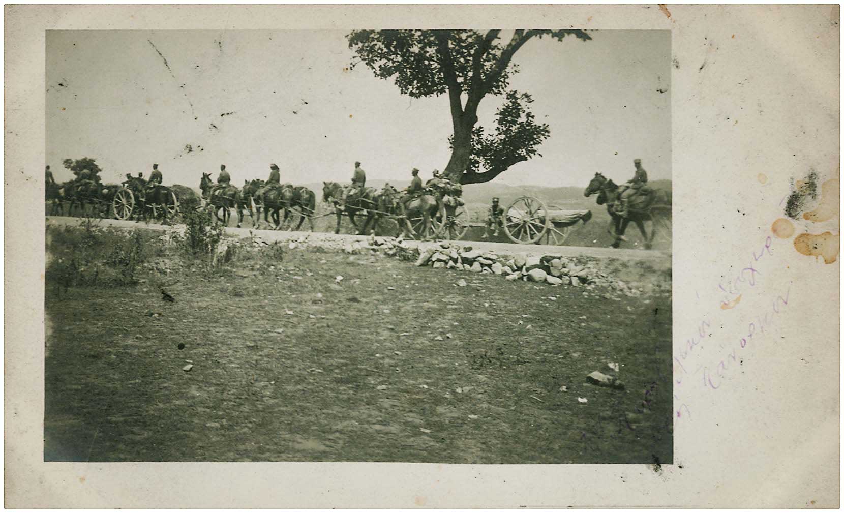 Lot 08768