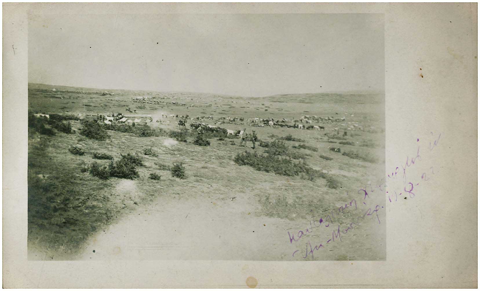 Lot 08784