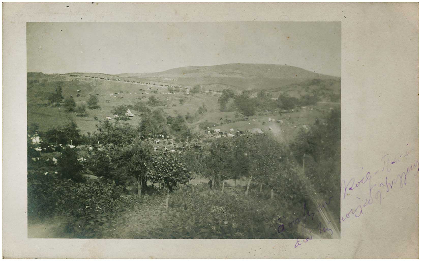 Lot 08782