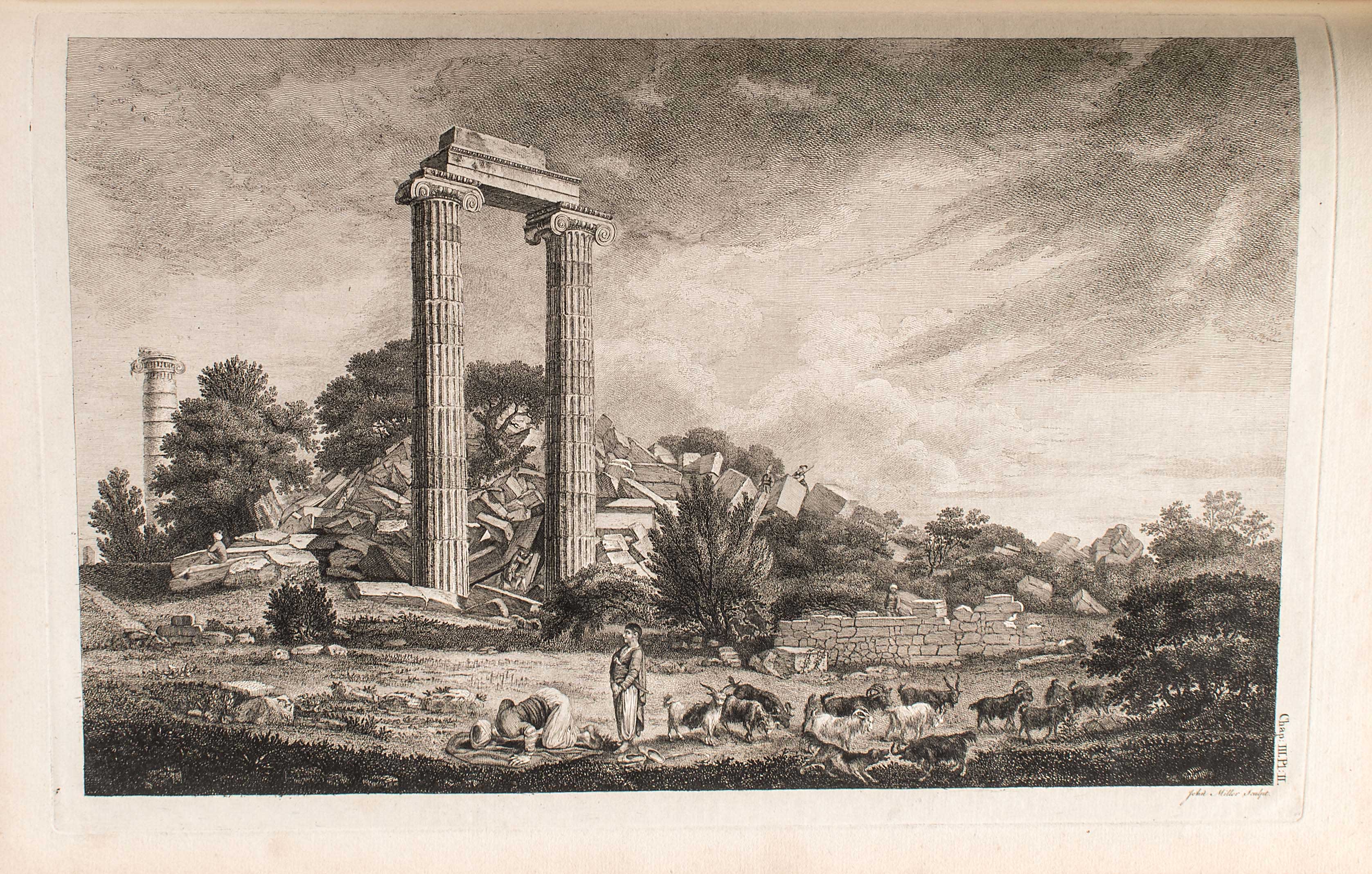 Lot 08006