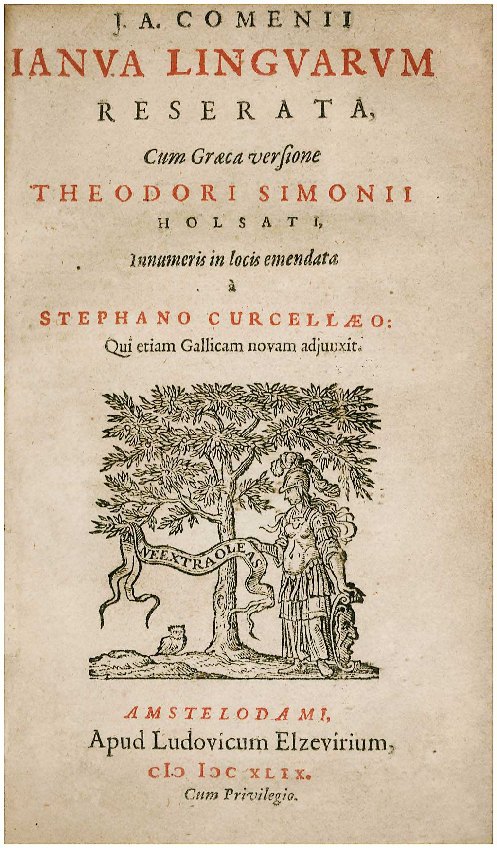 Lot 08016