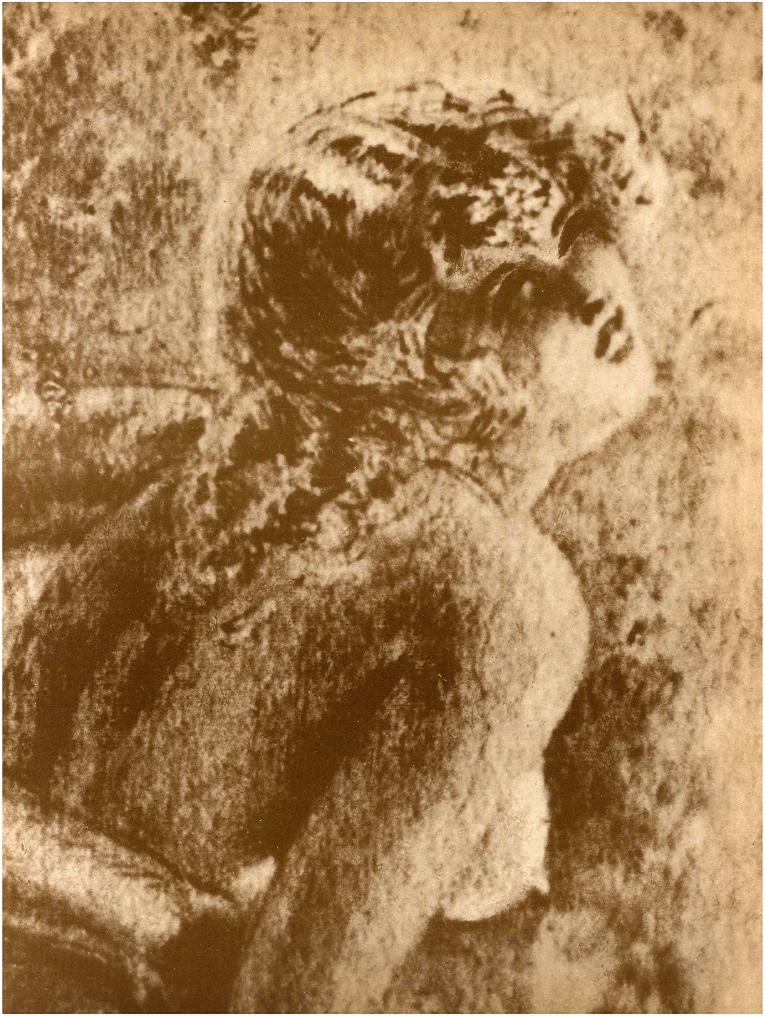 Lot 08809