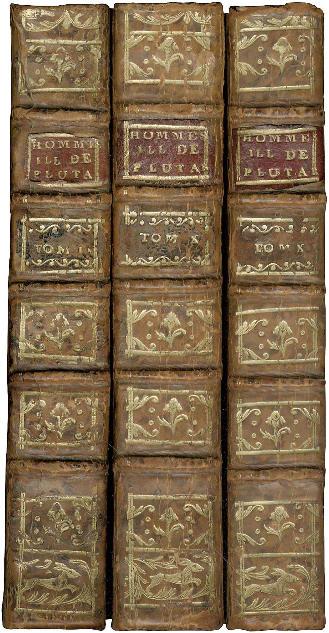 Lot 08047