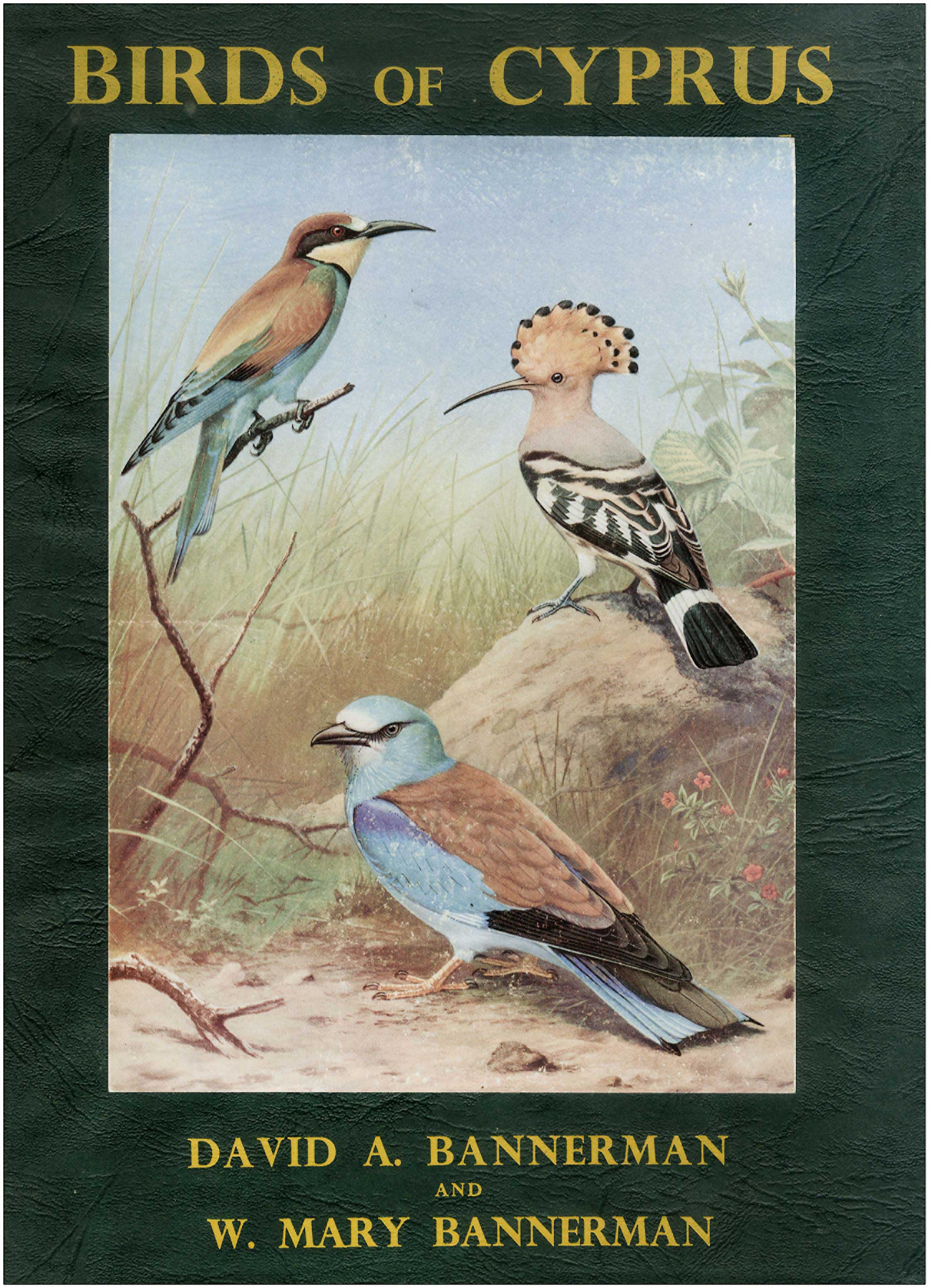 Lot 08304