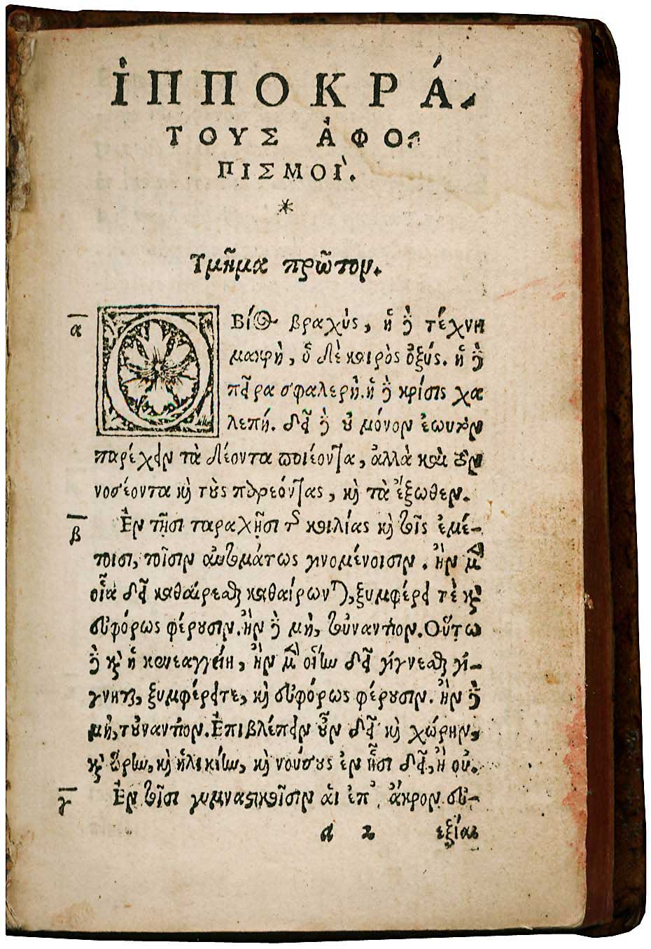 Lot 08004