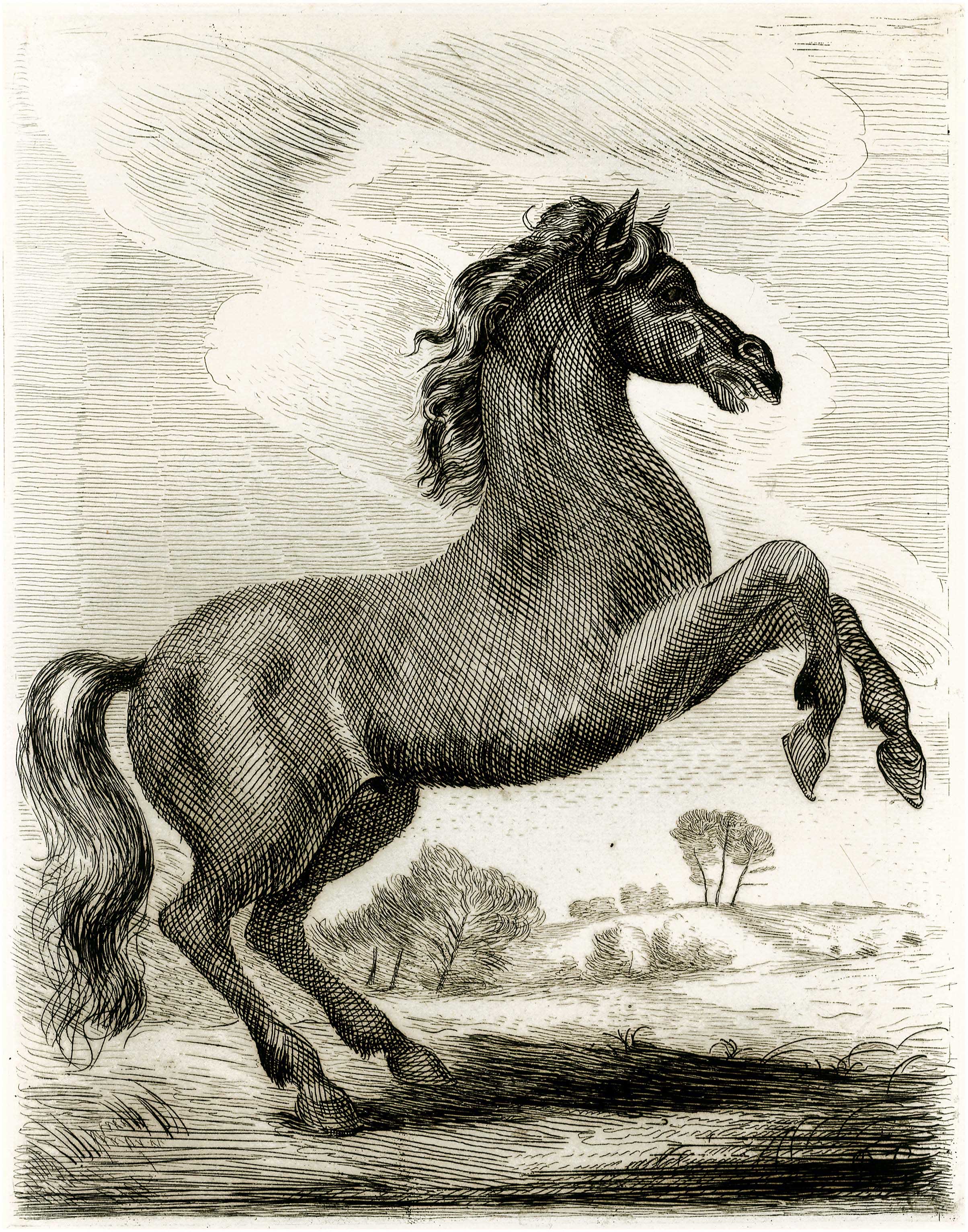 Lot 08727