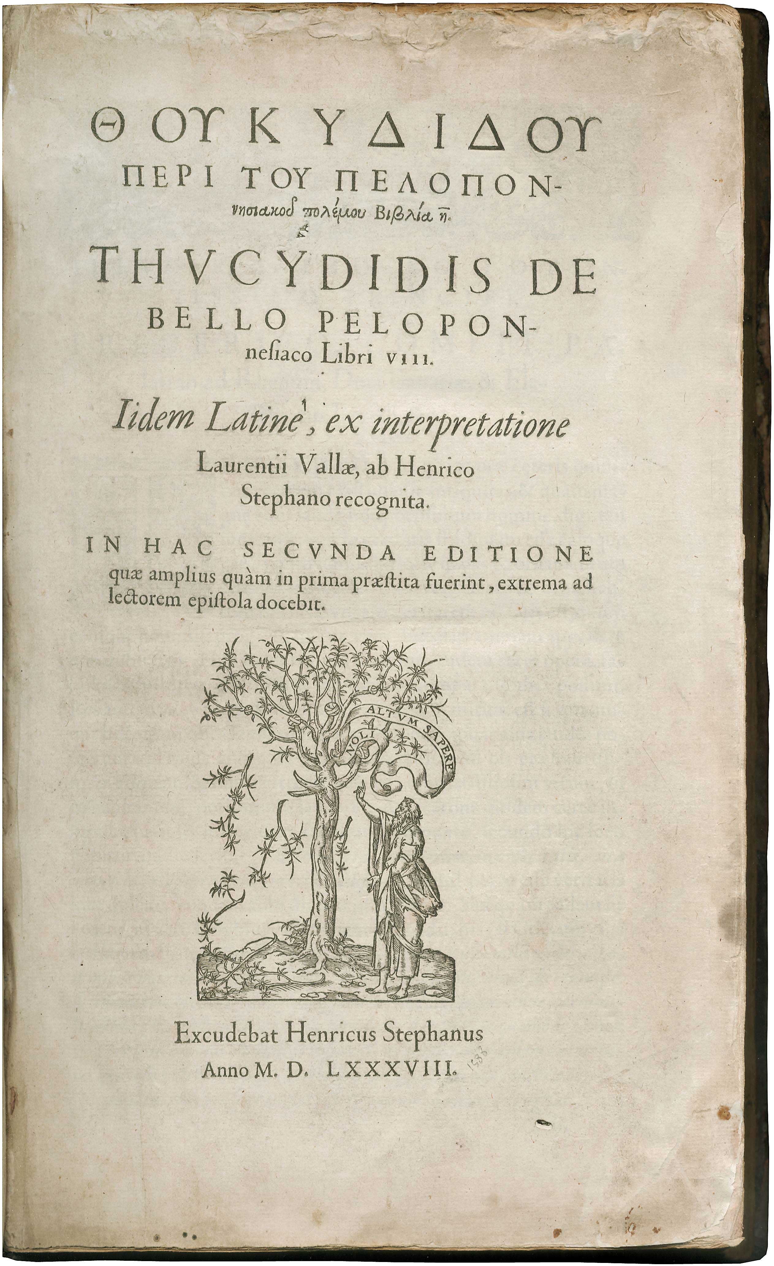 Lot 08010