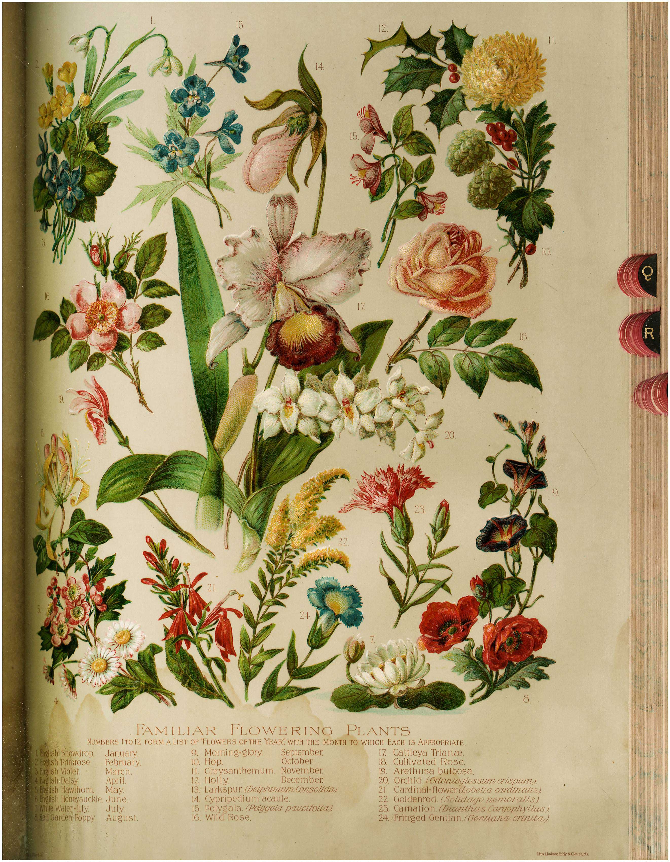 Lot 08461