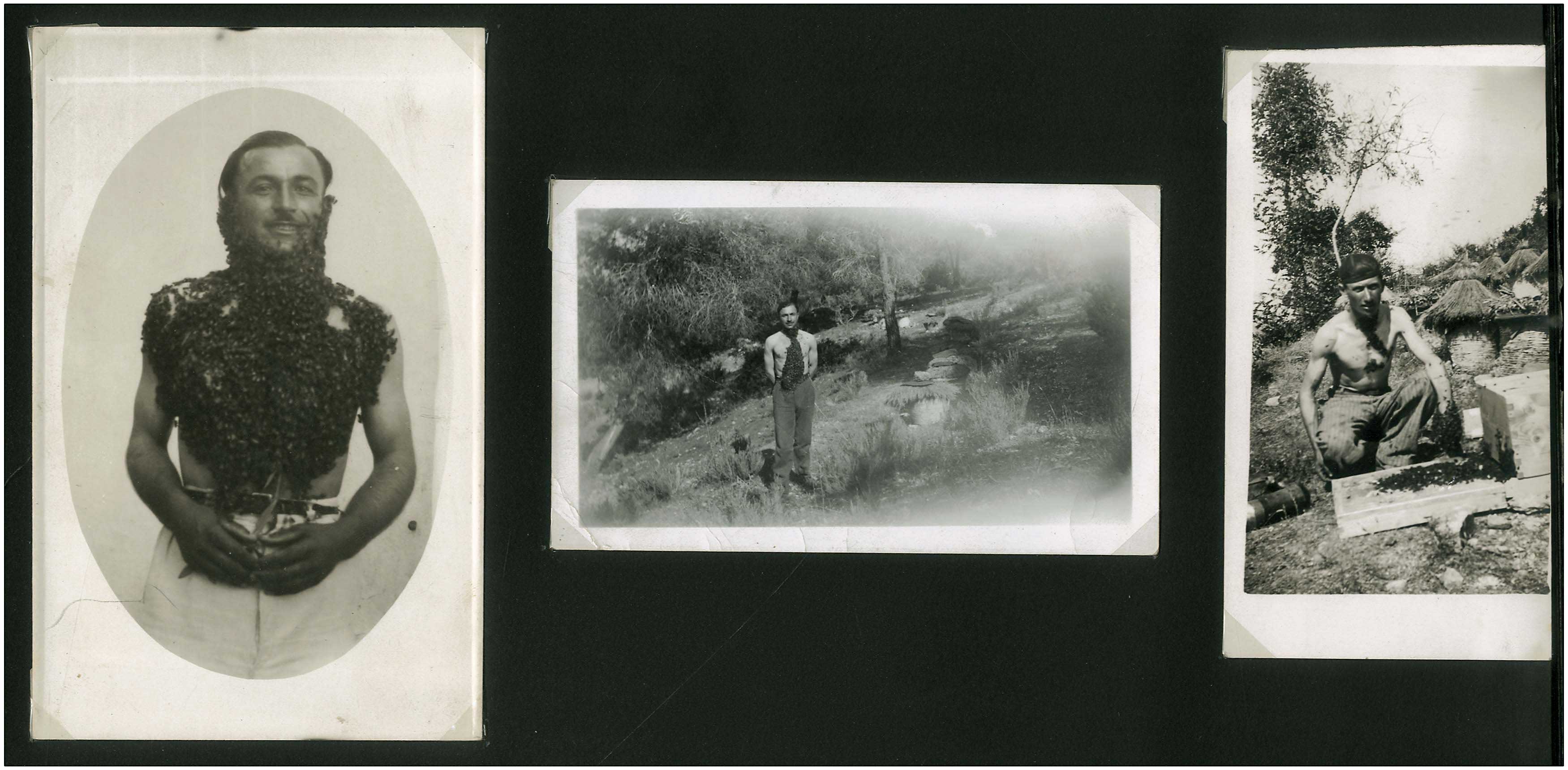 Lot 08392