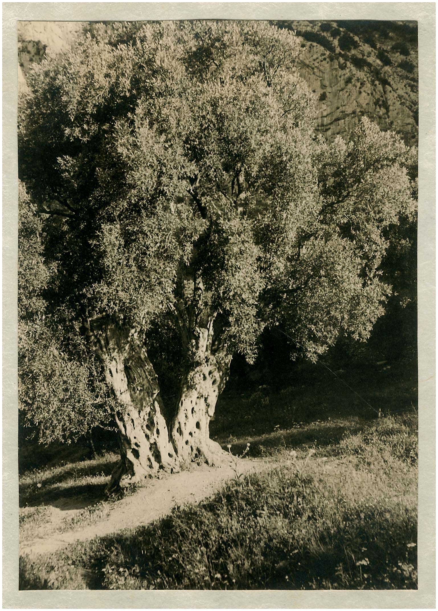Lot 08421