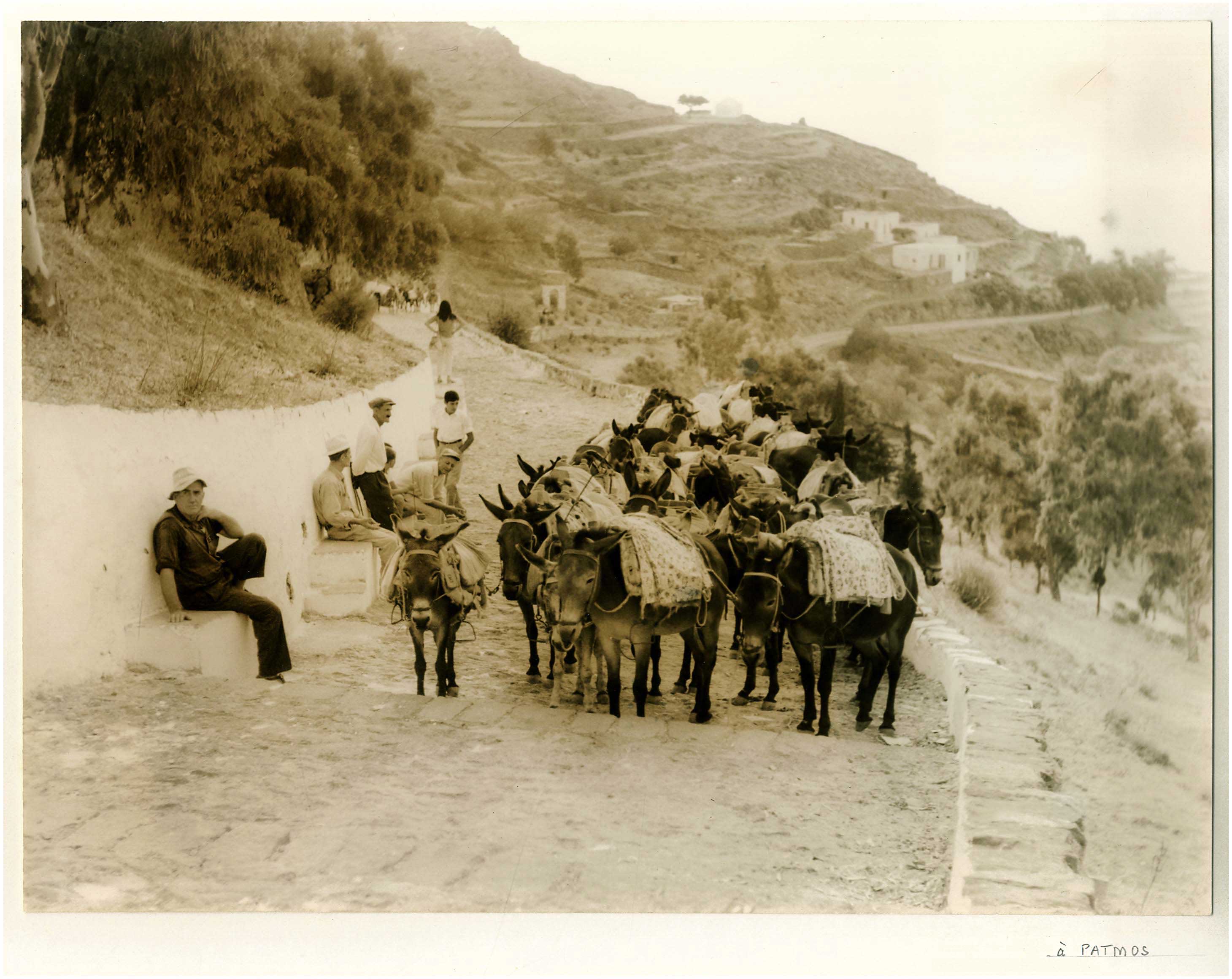 Lot 08430