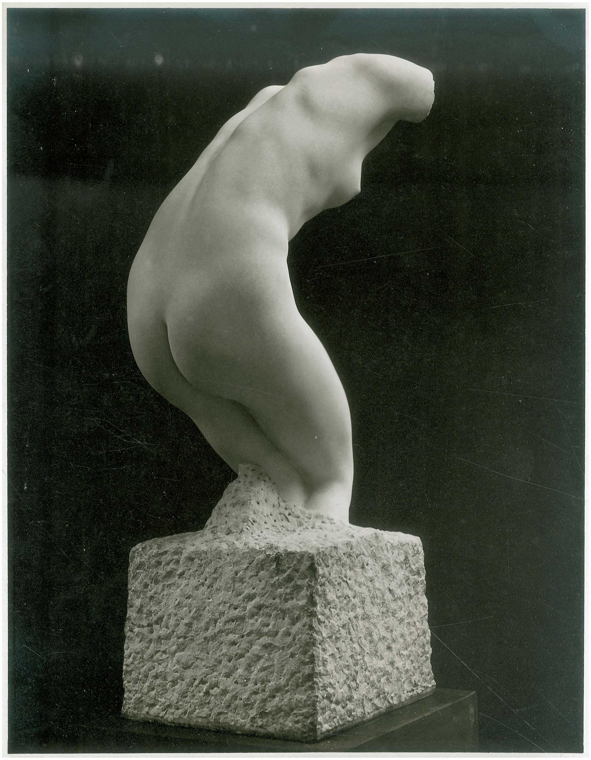 Lot 08442