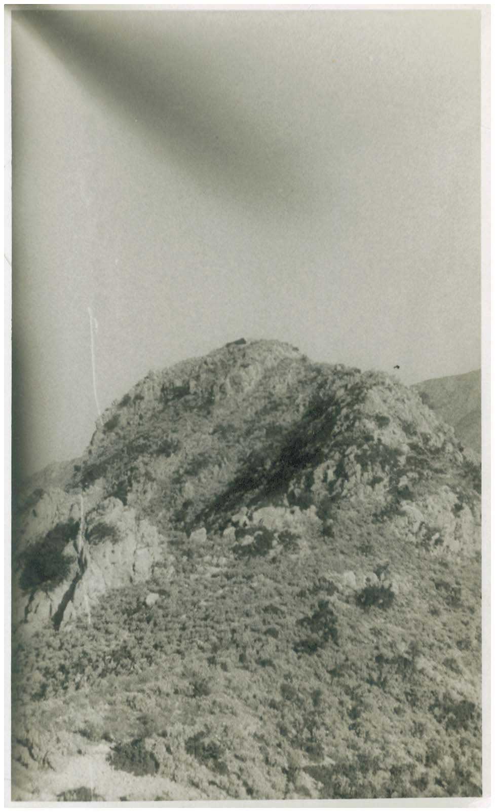 Lot 08427