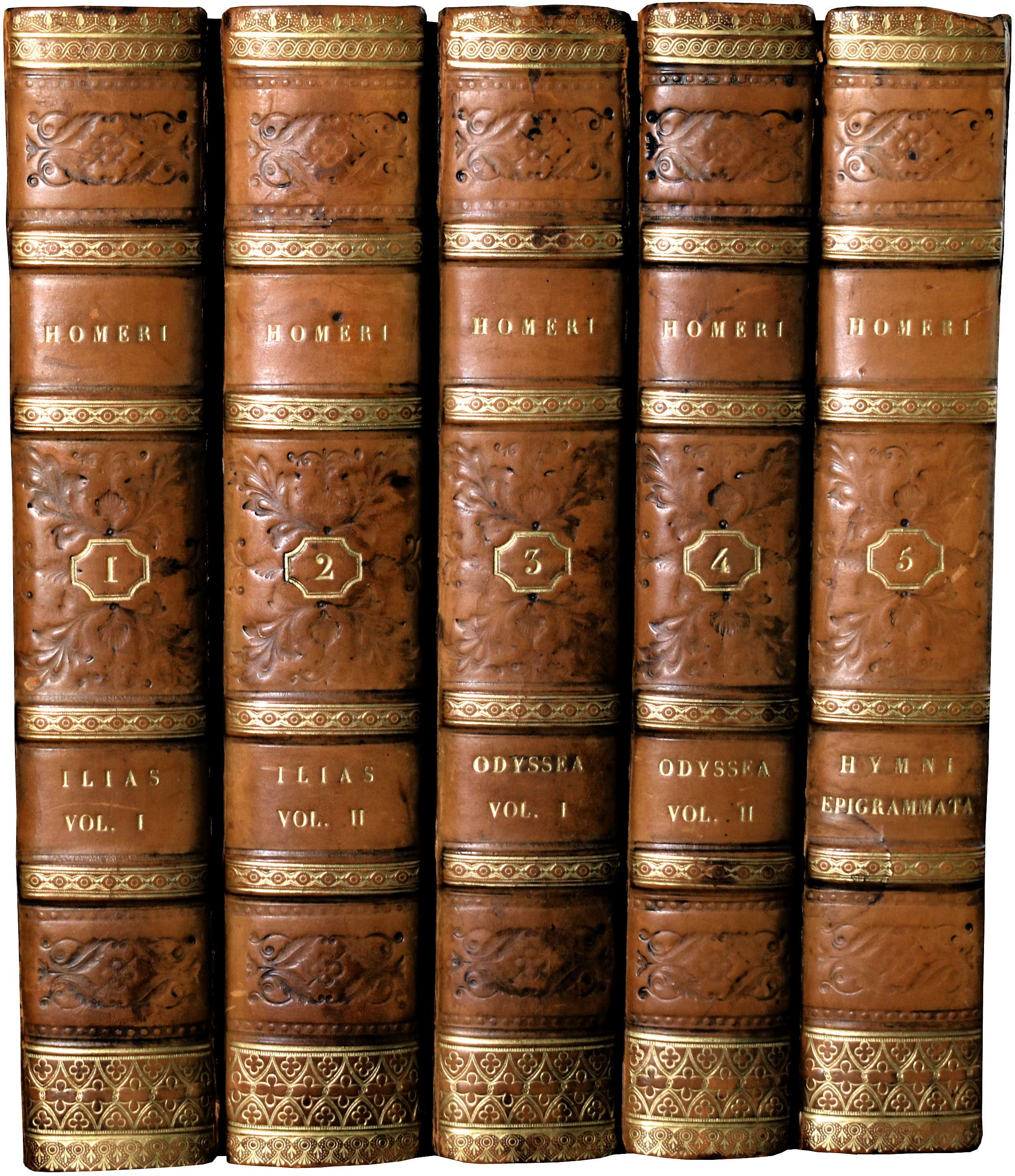Lot 08119