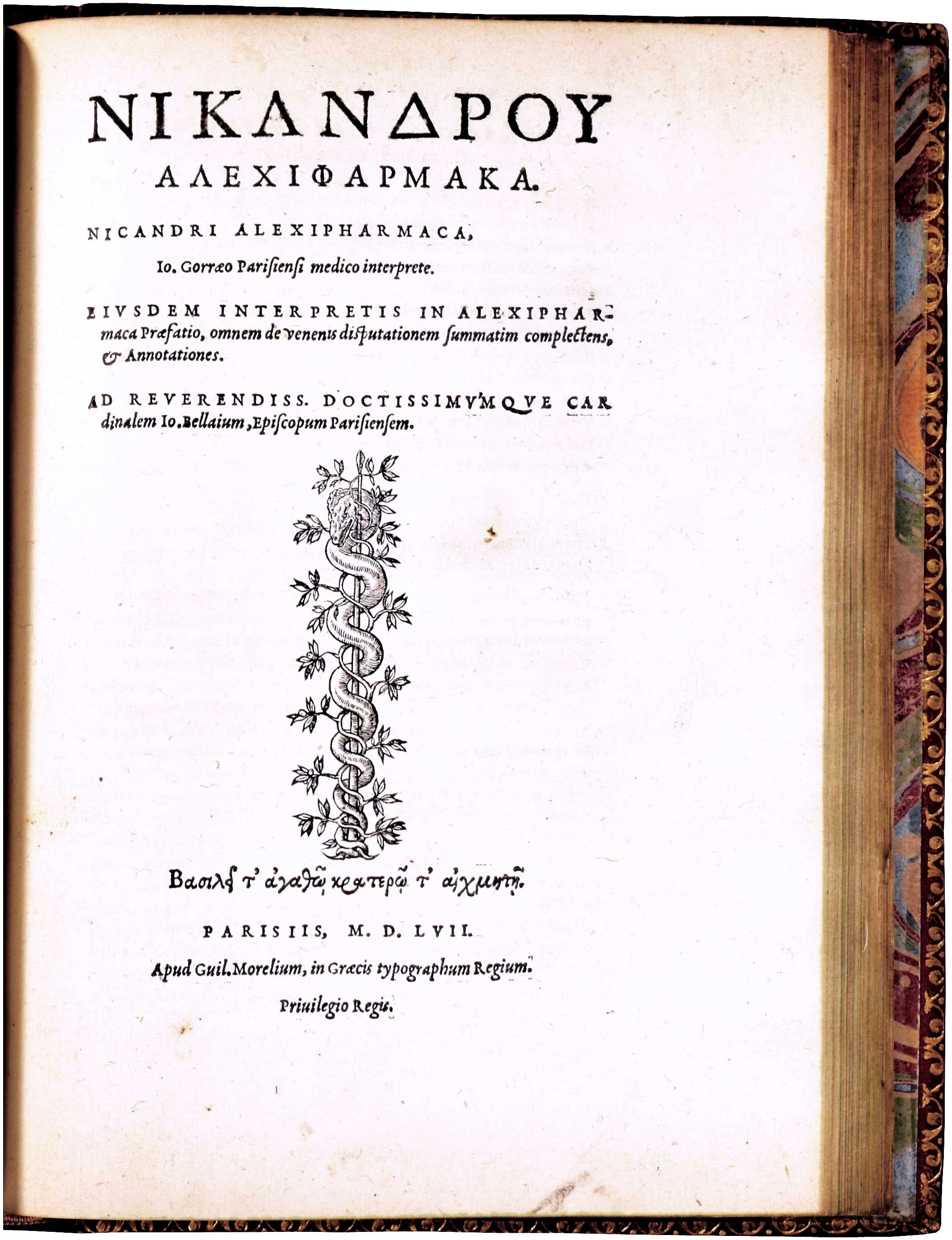 Lot 08067
