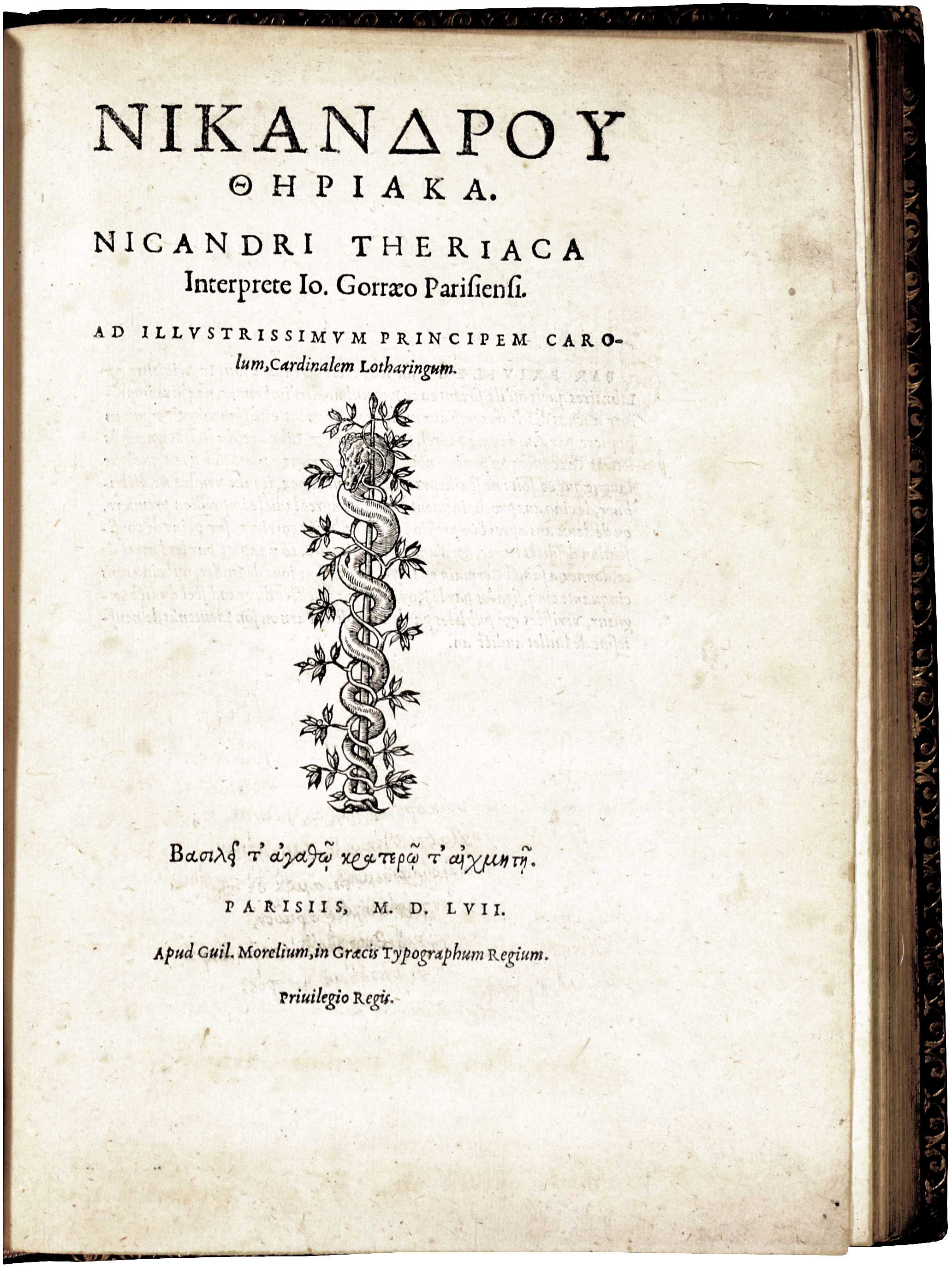 Lot 08067