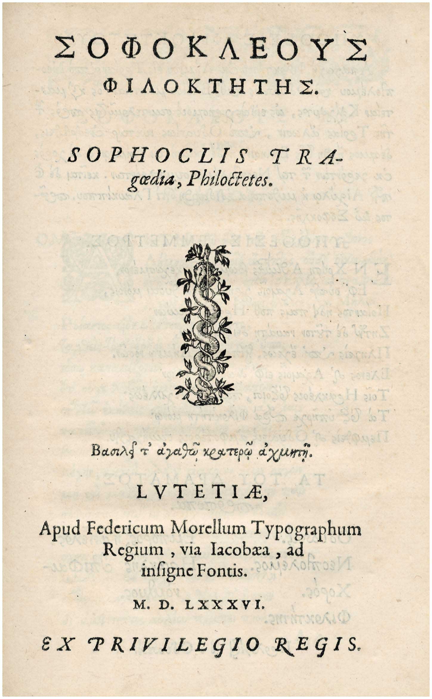 Lot 08019