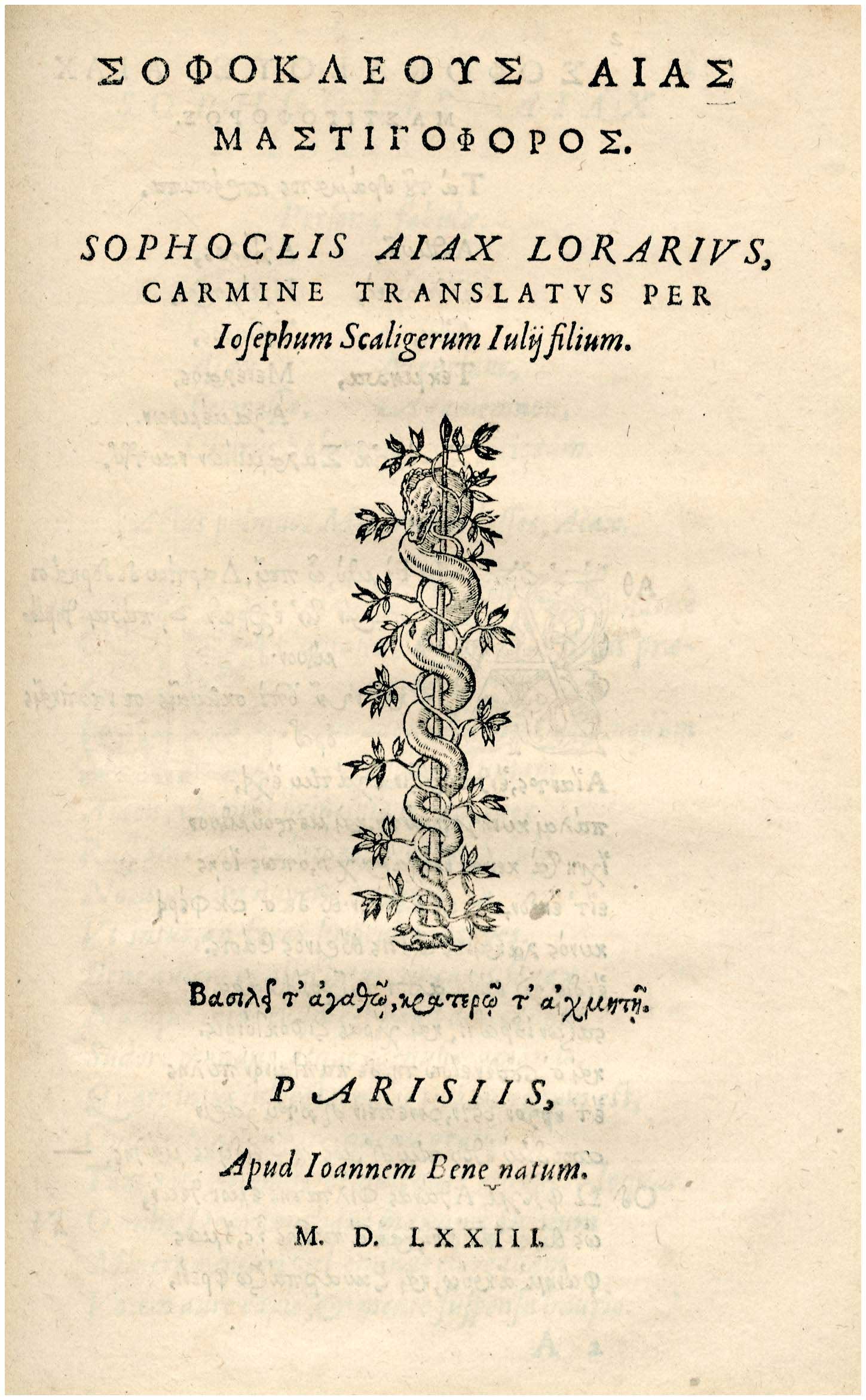 Lot 08019