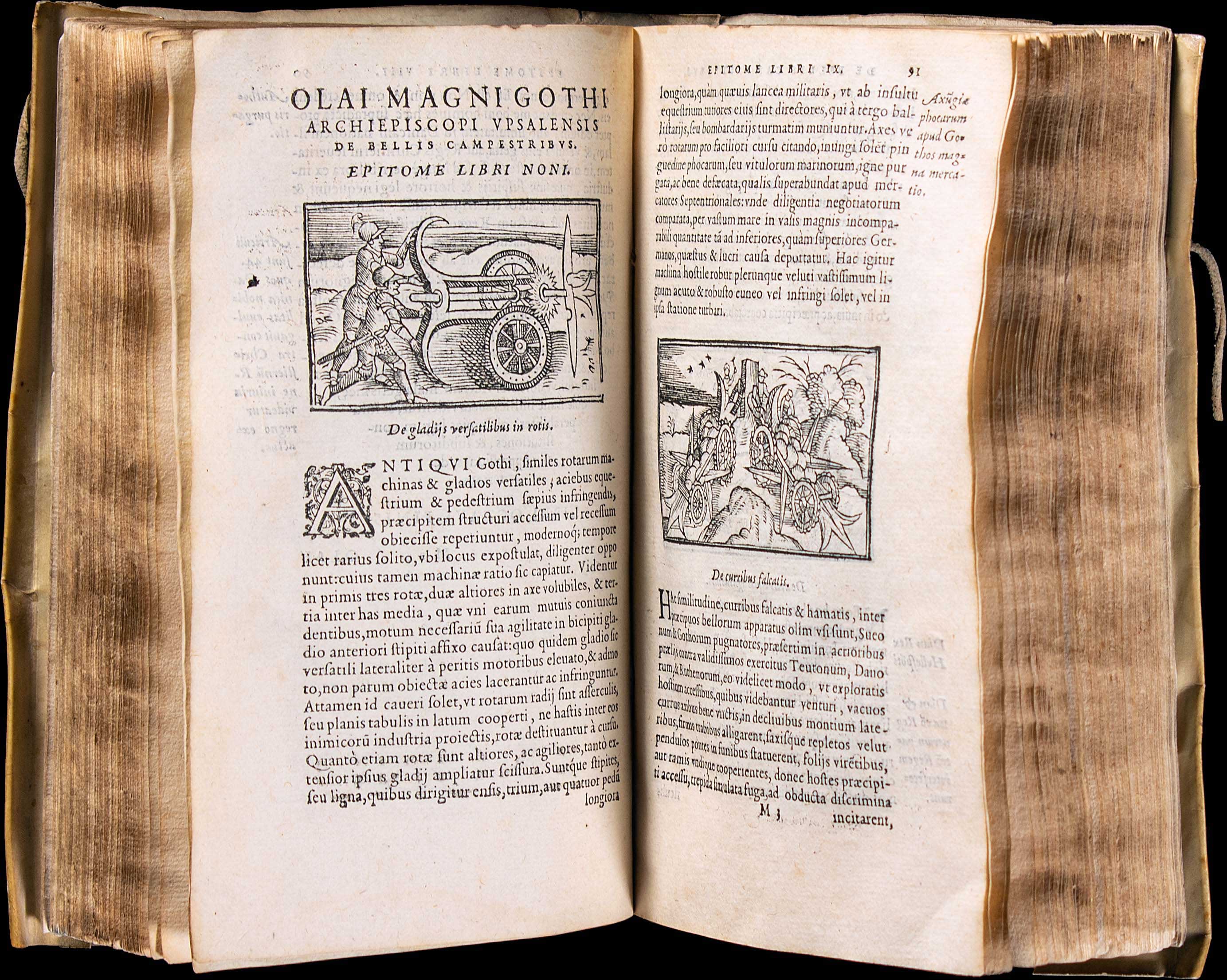 Lot 08082