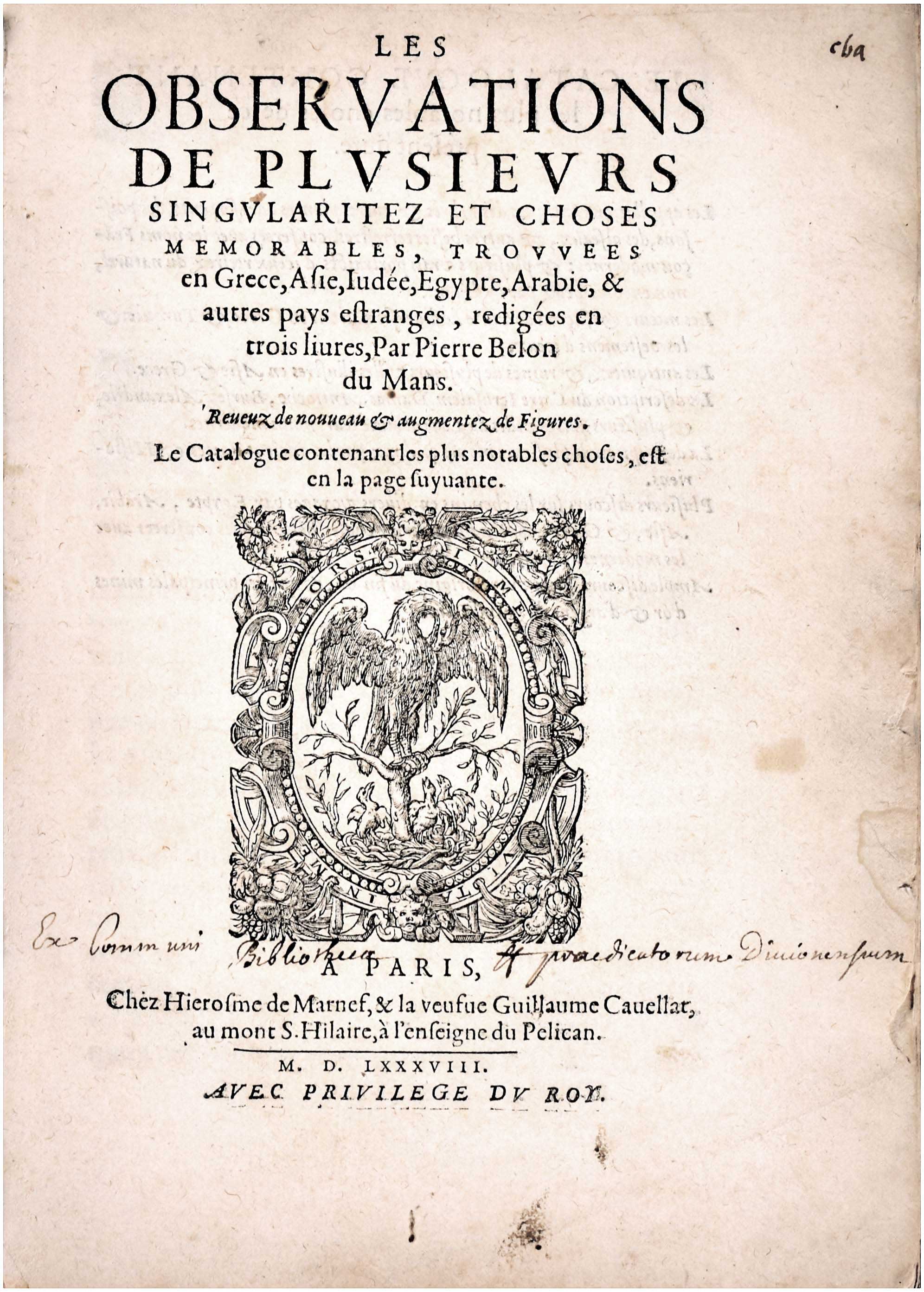 Lot 08084