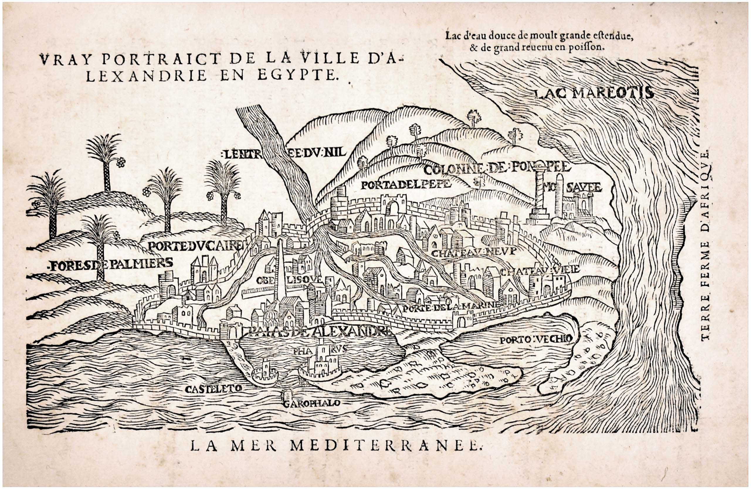 Lot 08084