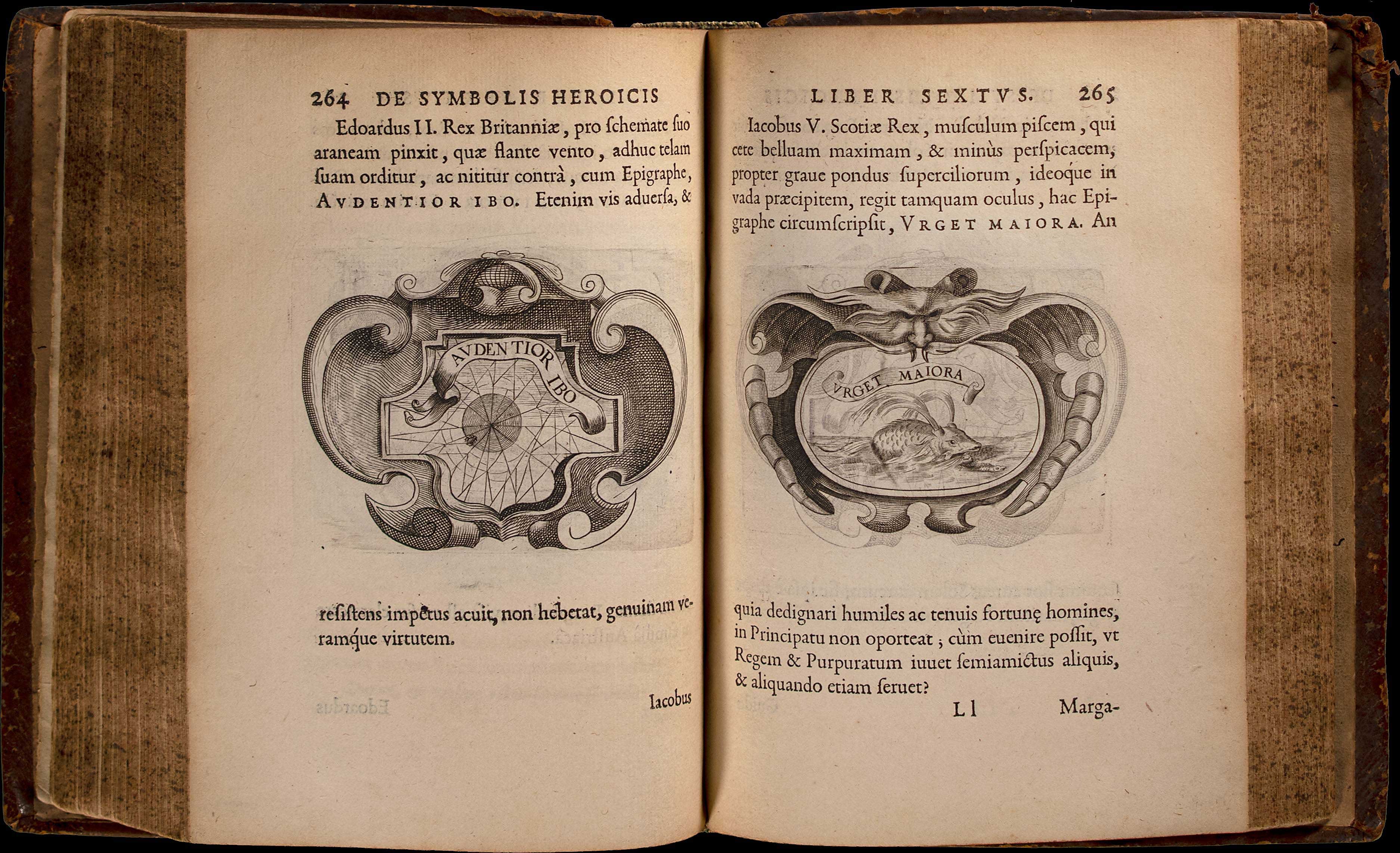 Lot 08031