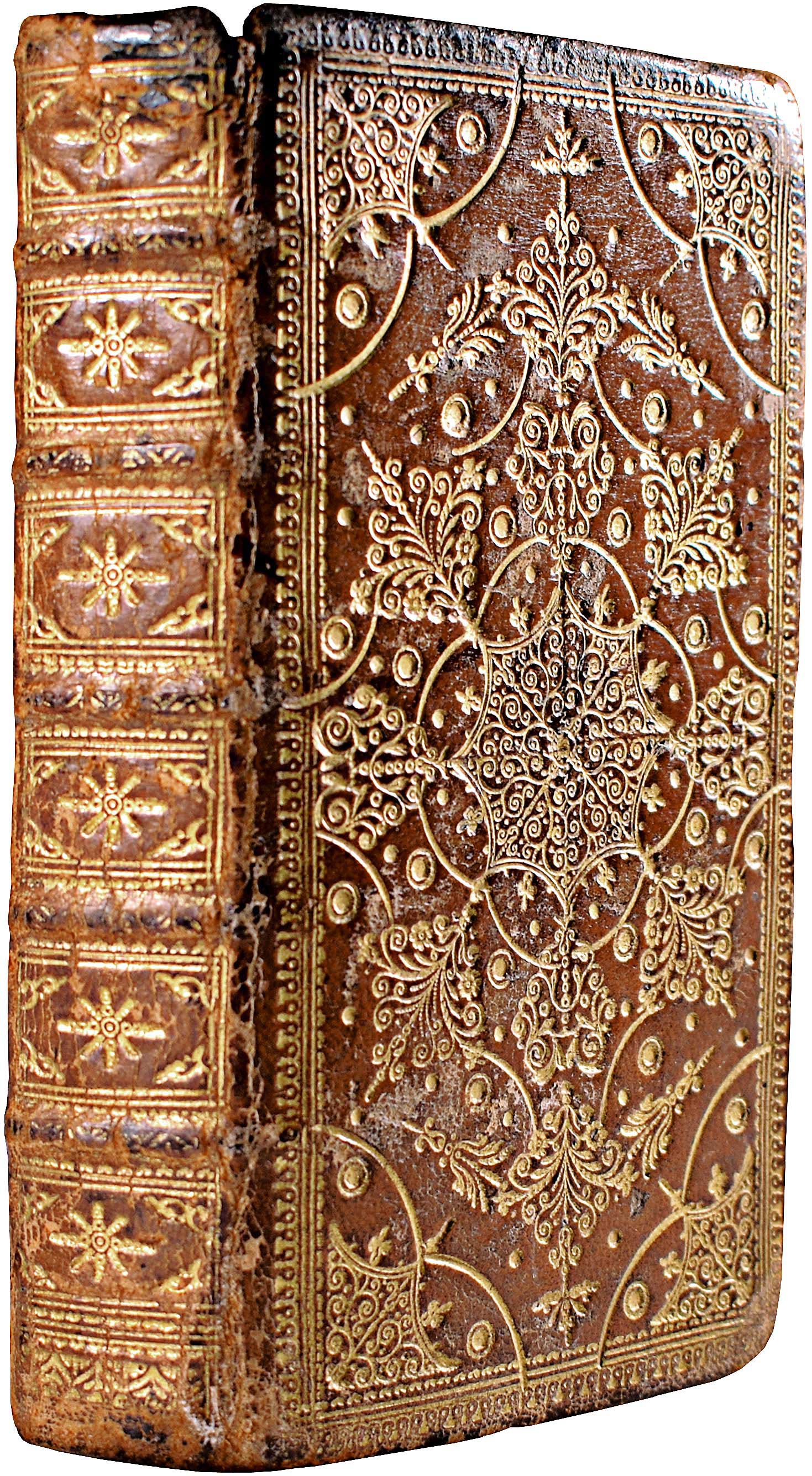 Lot 08036