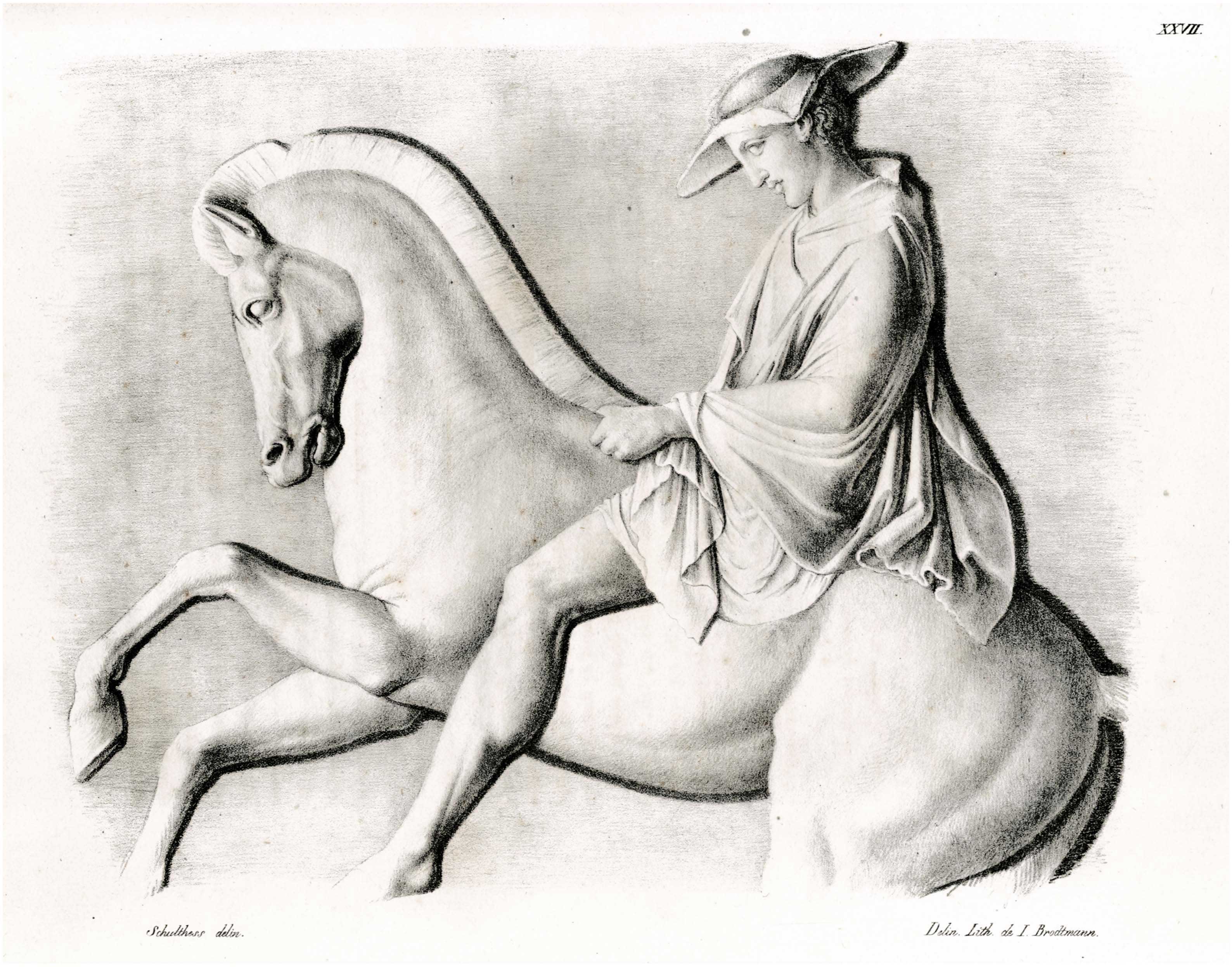 Lot 08140