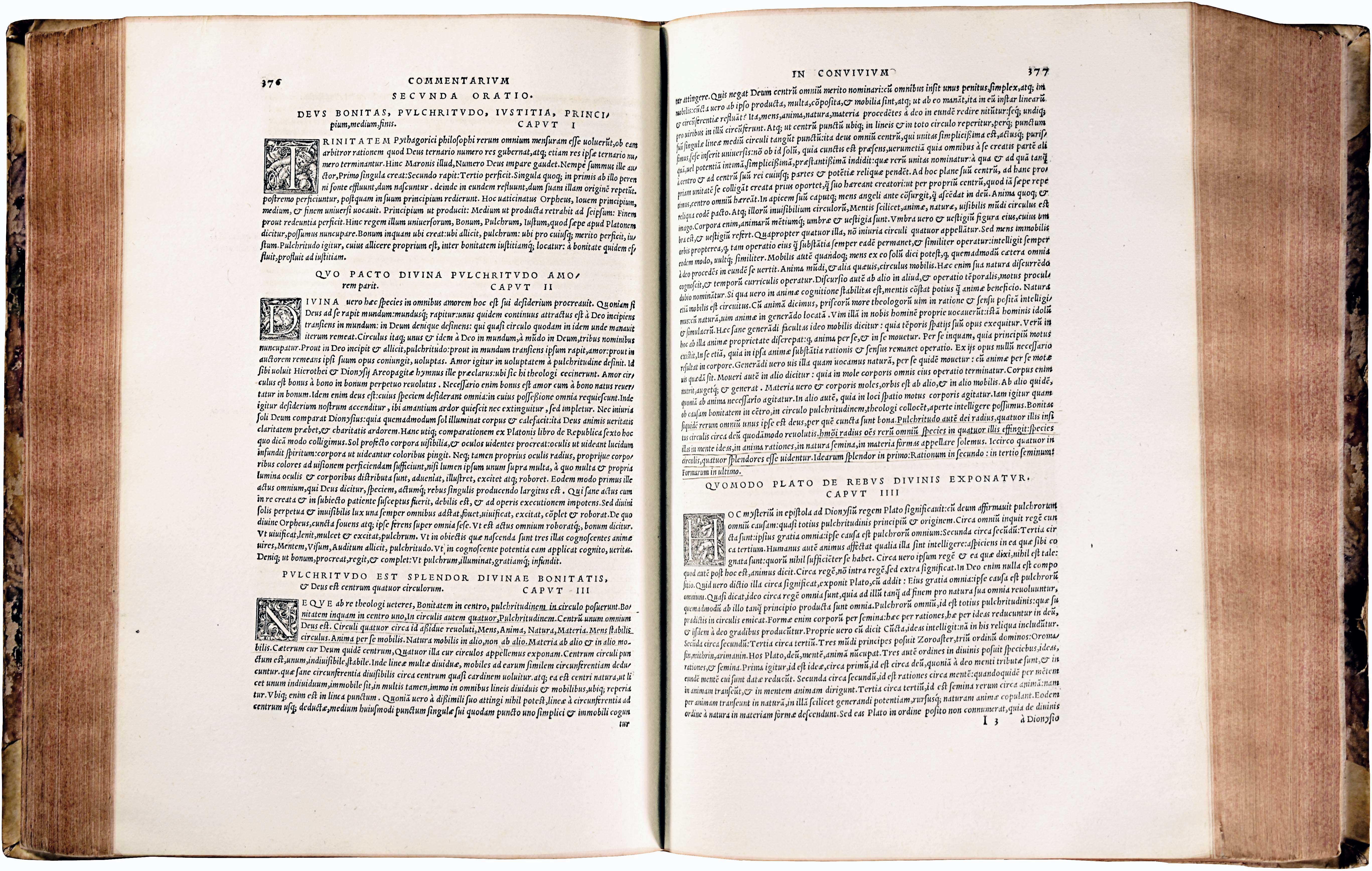 Lot 08007