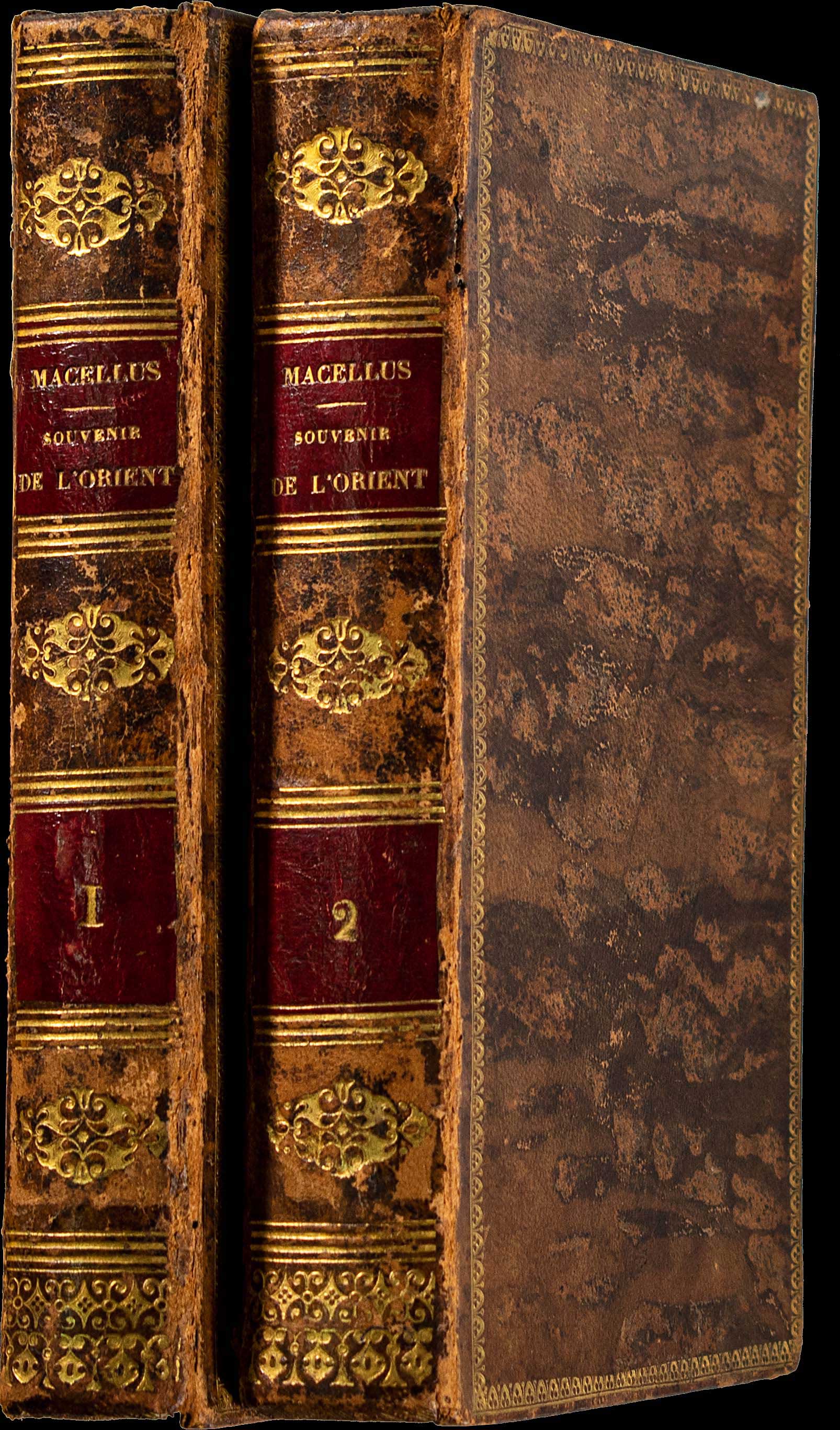 Lot 08119