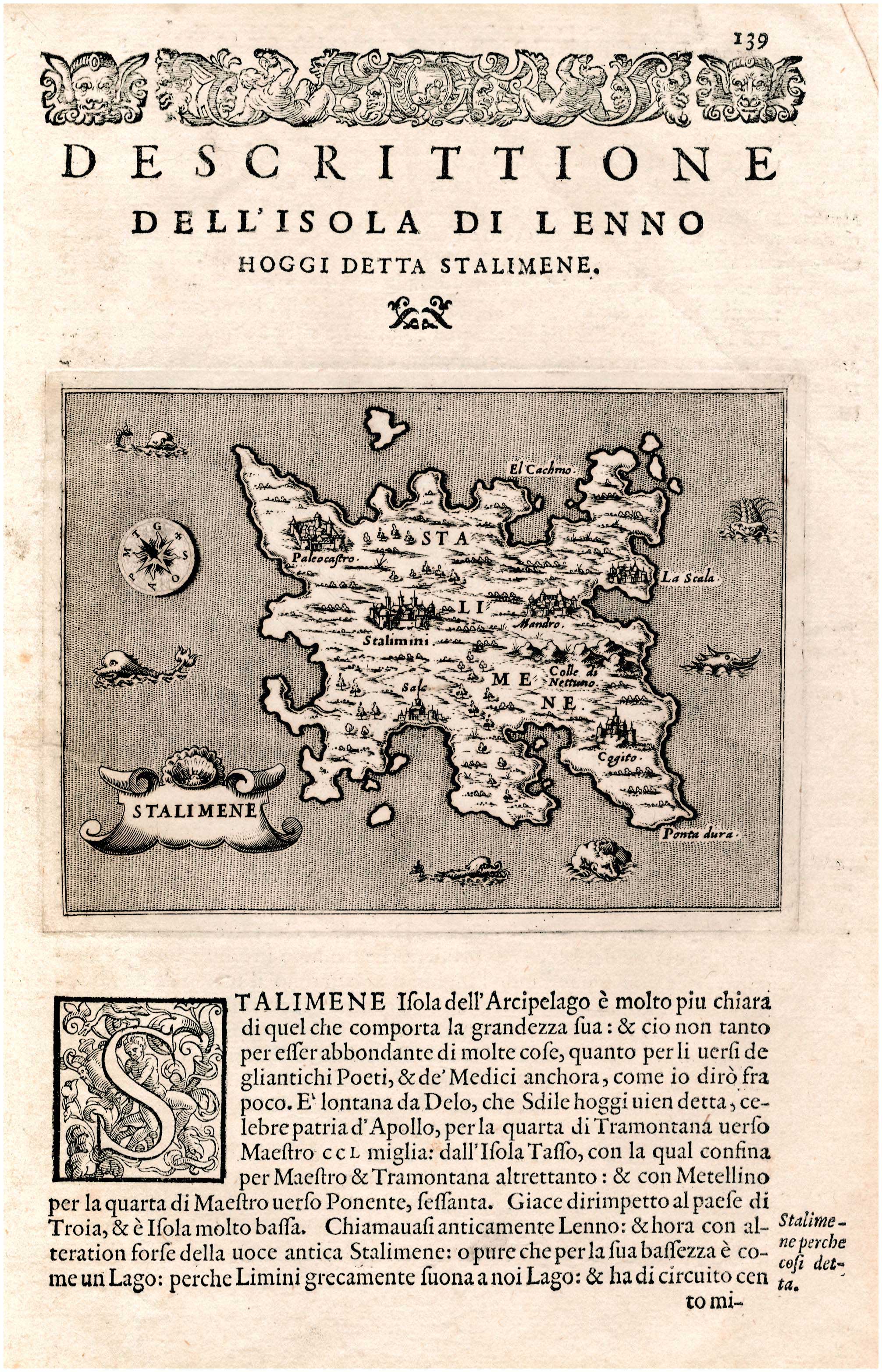 Lot 08571