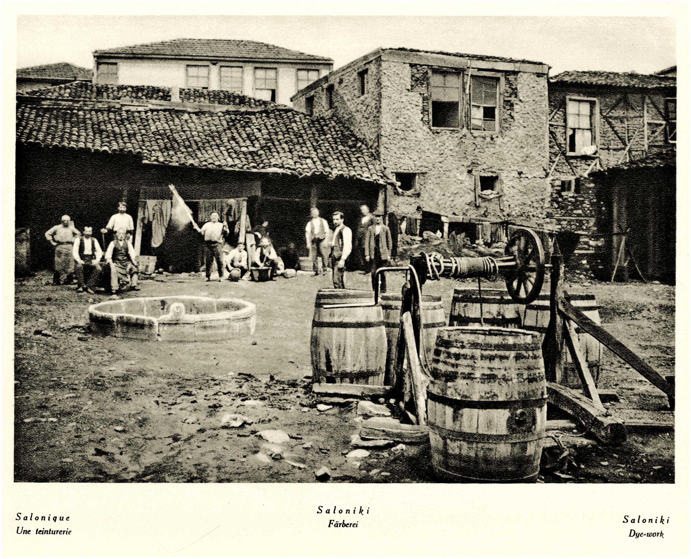 Lot 09219