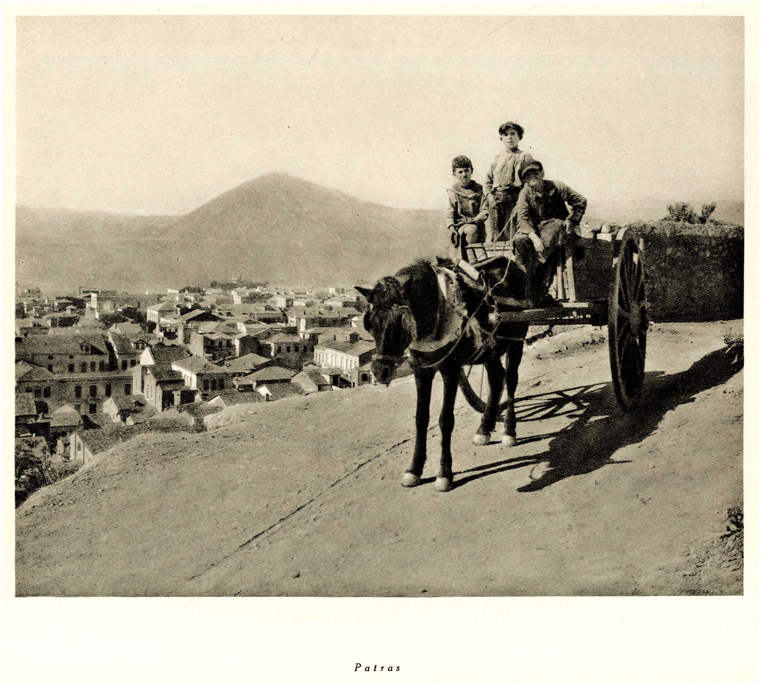 Lot 09219