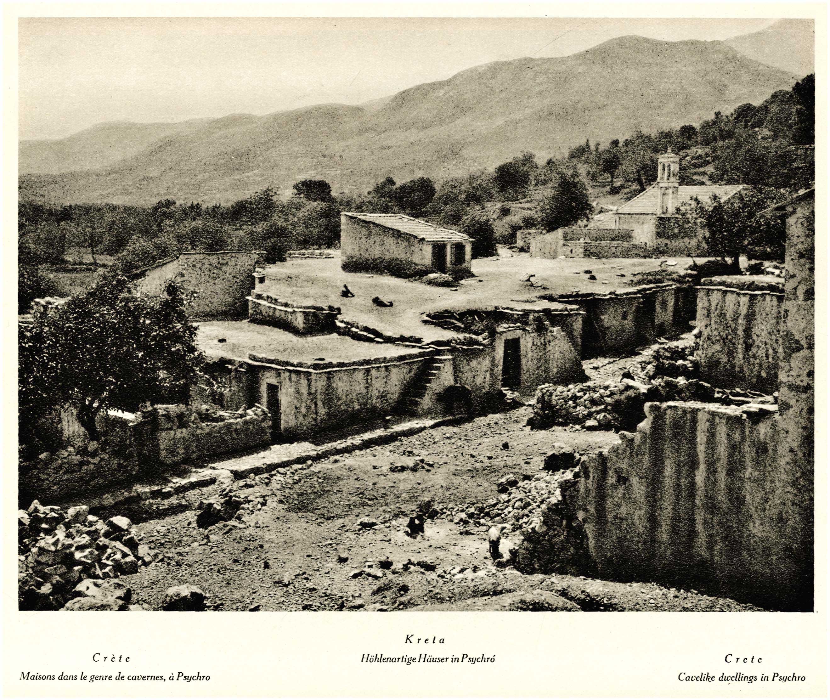 Lot 09219