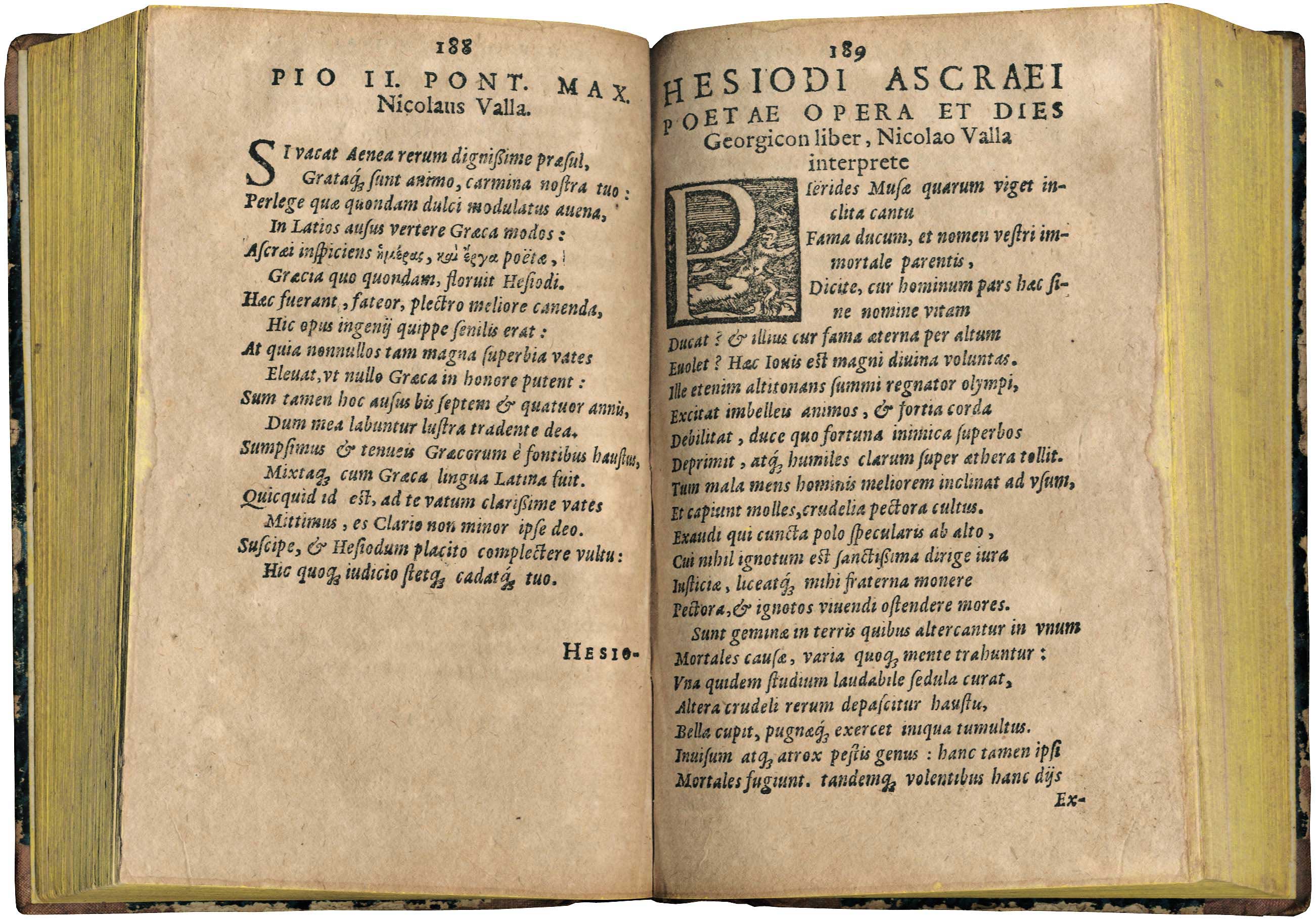 Lot 08021