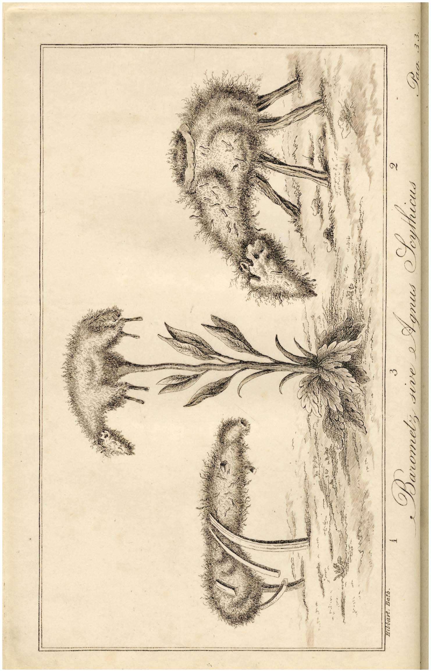 Lot 08424