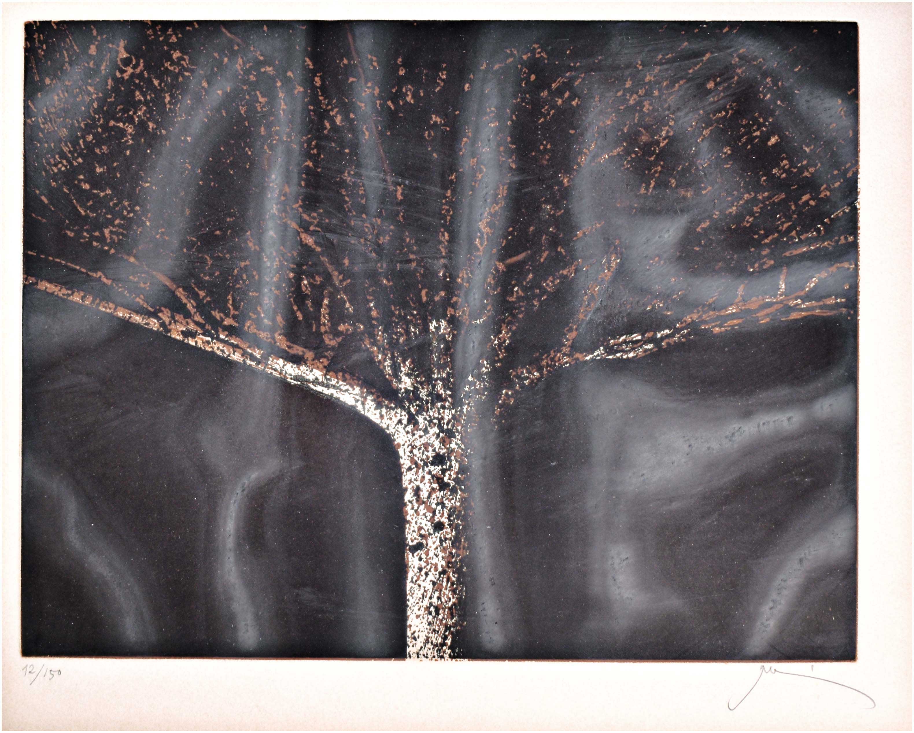 Lot 09326