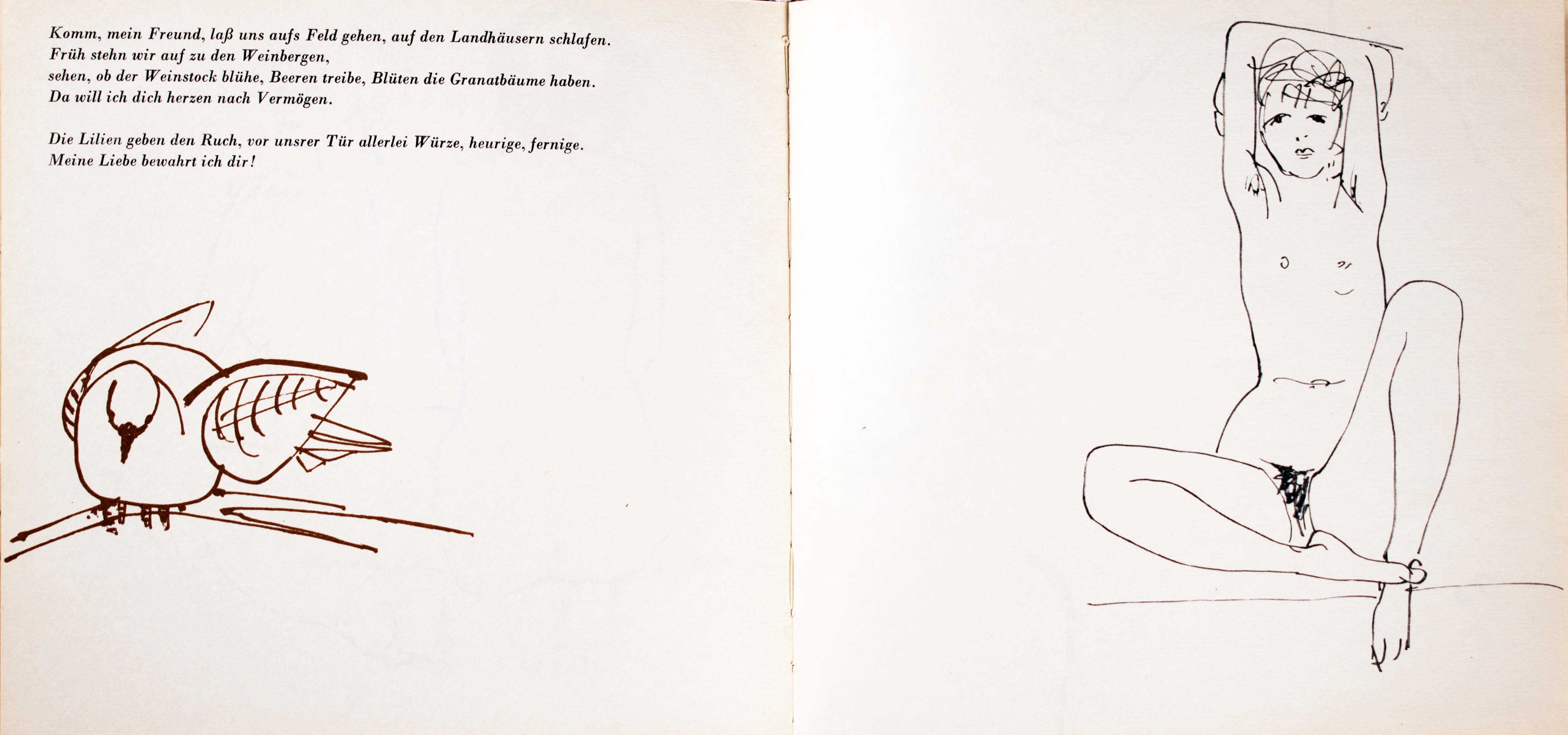 Lot 08476