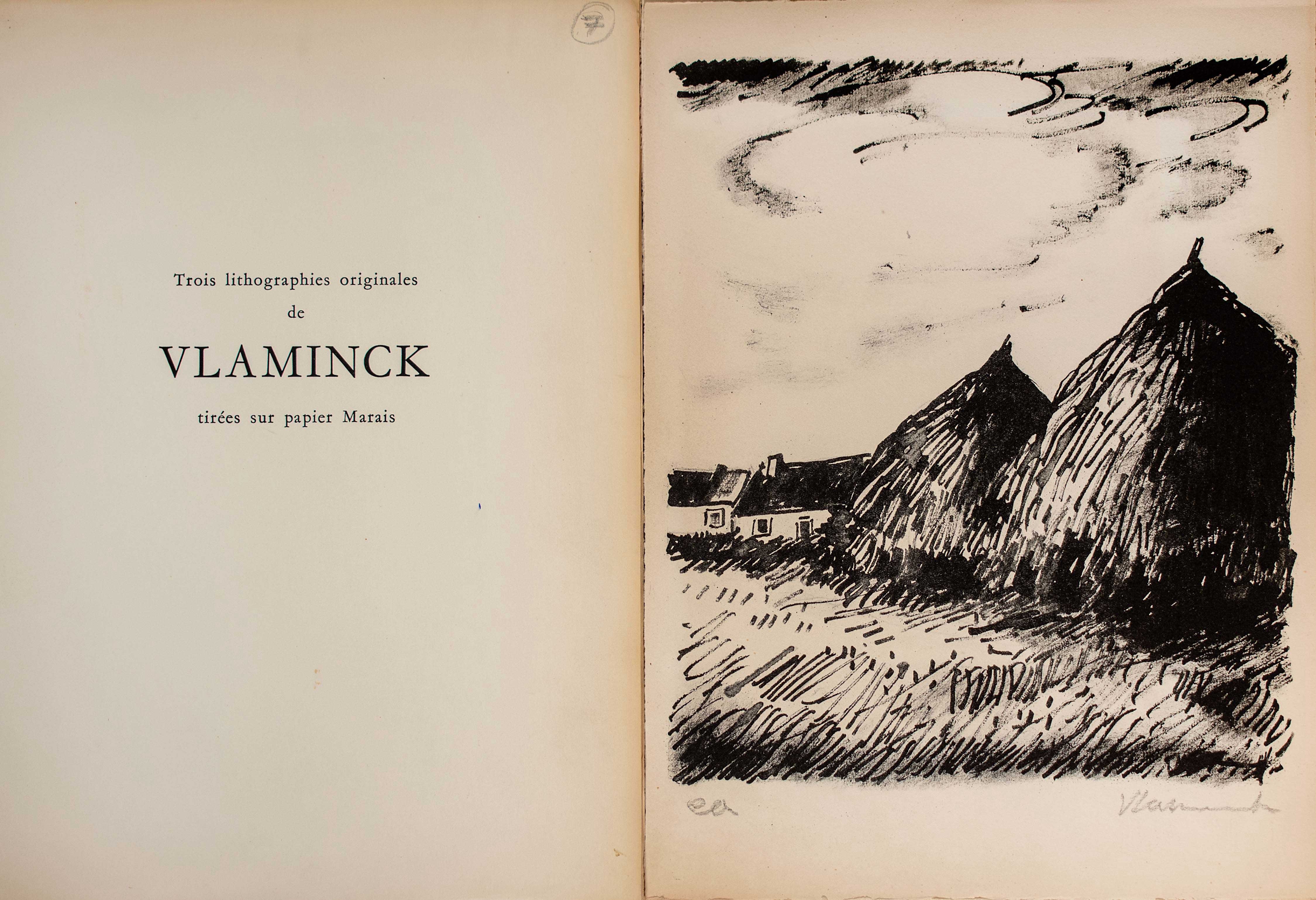 Lot 08519