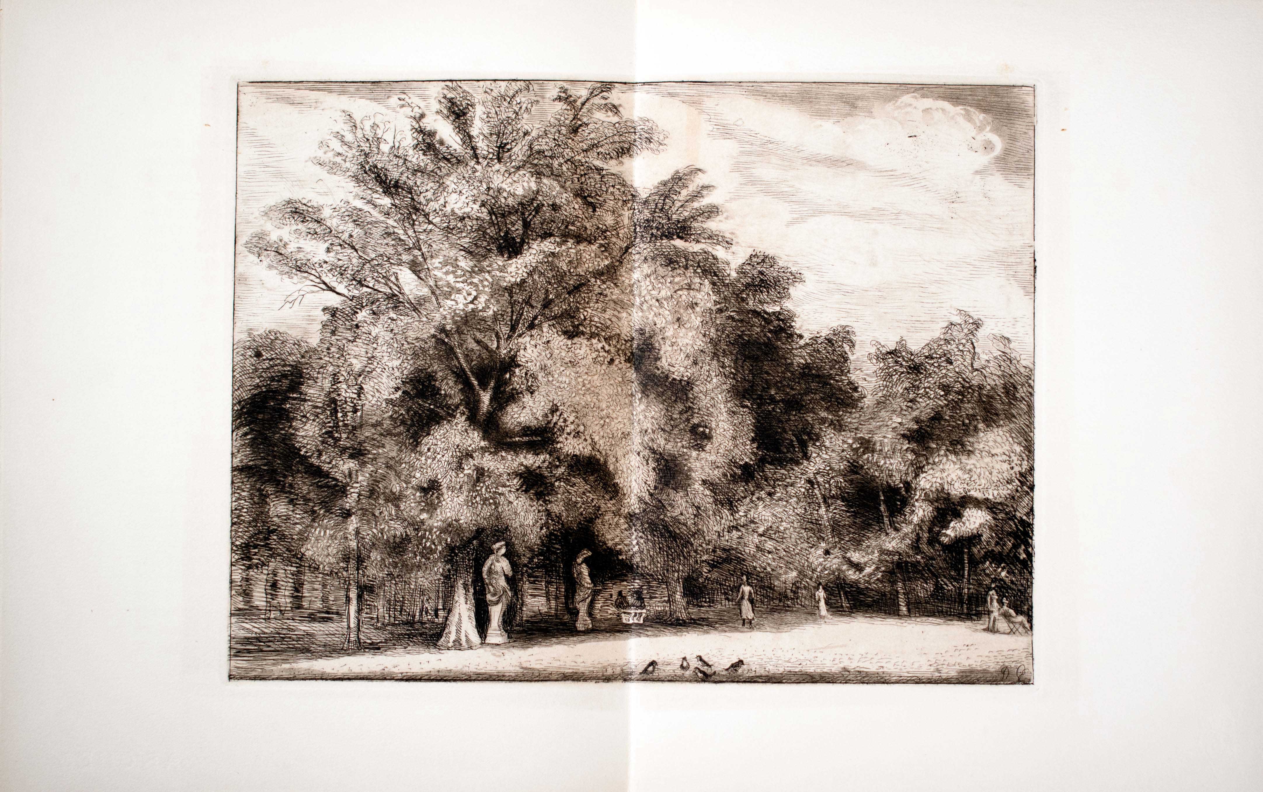 Lot 08435