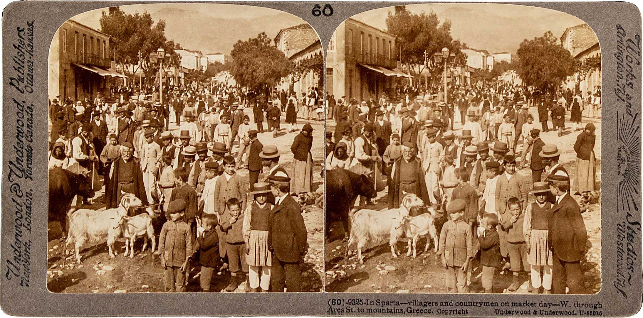 Lot 08576