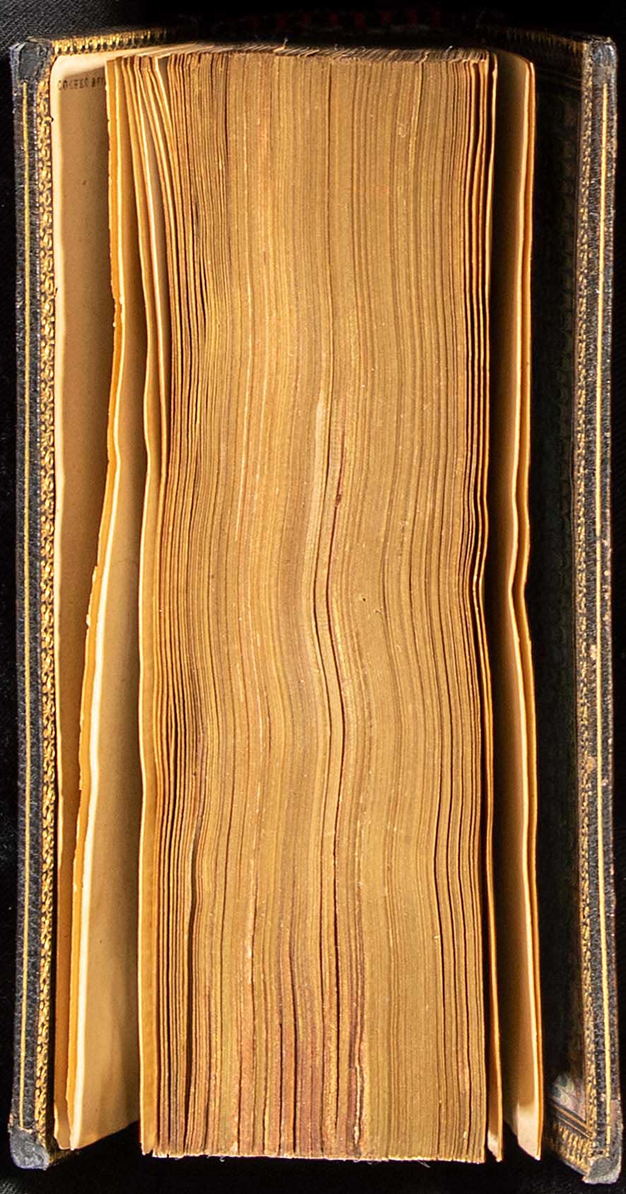 Lot 08004