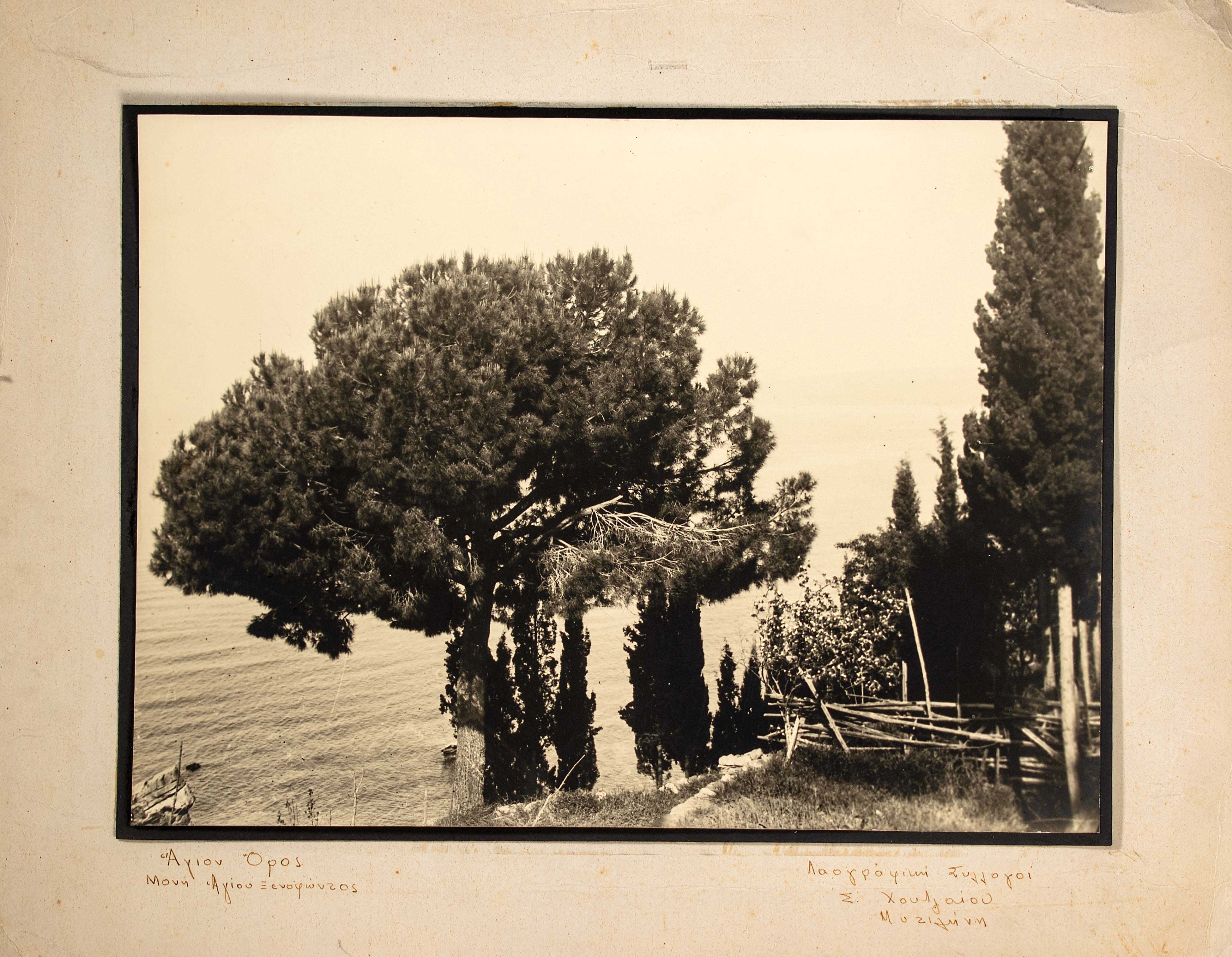 Lot 08578