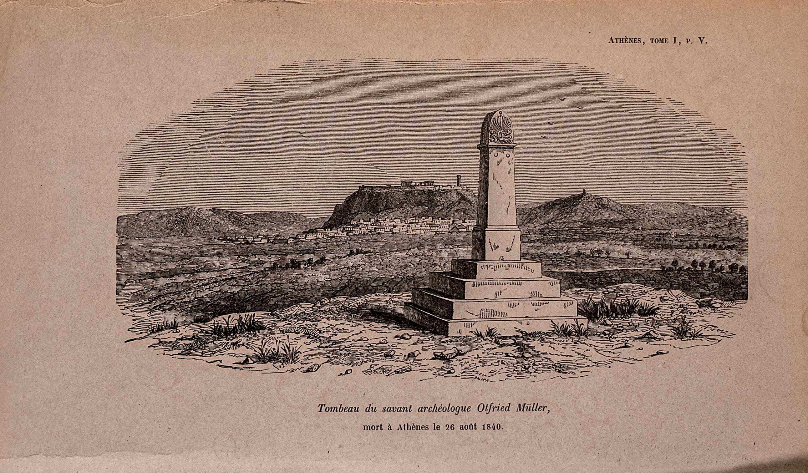 Lot 08139