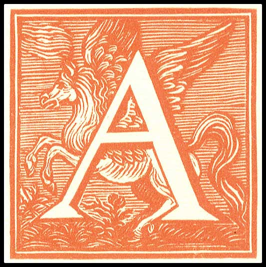 Lot 08495